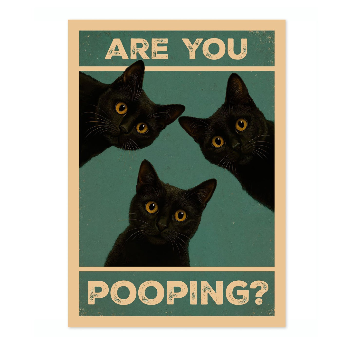 Är du bajsnödig? Katter