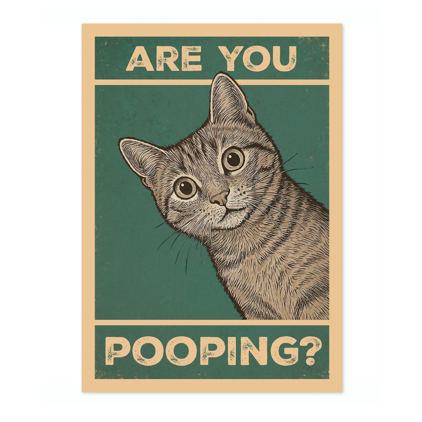 Are You Pooping? Cat