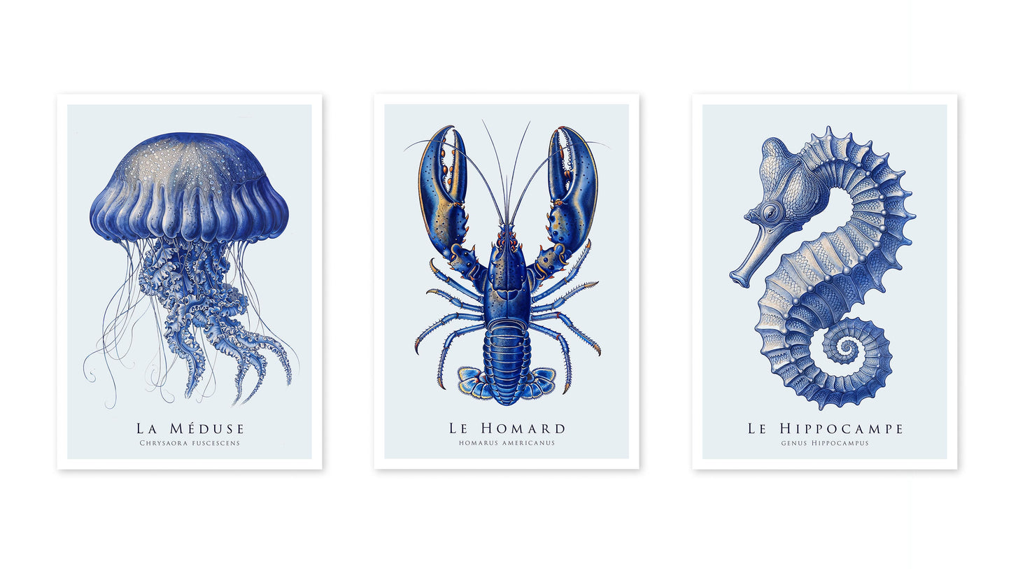 Blaue Meer Lebensausstellung