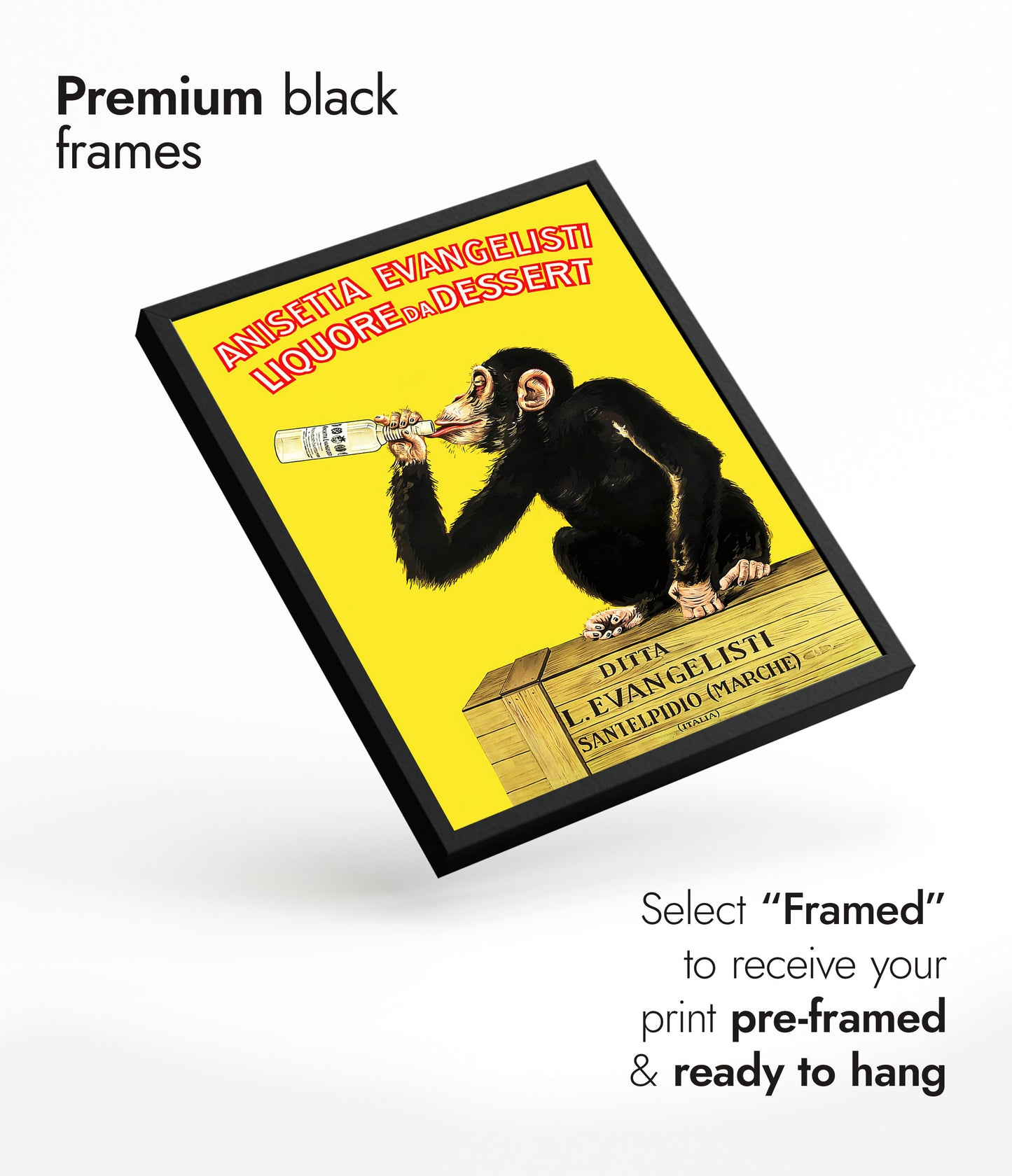 Anisetta Evangelisti Liquour