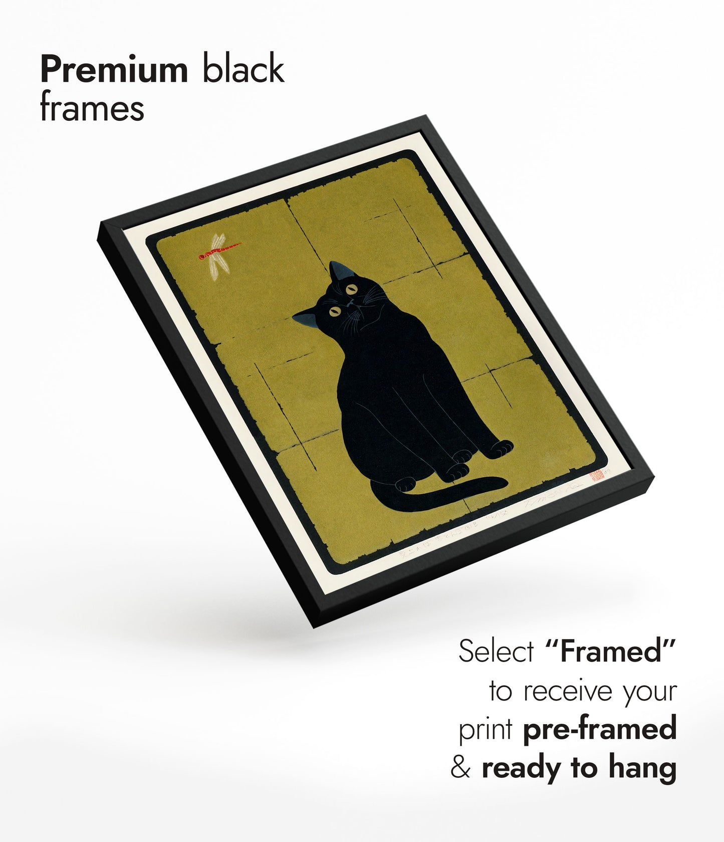 Svart katt med trollslända