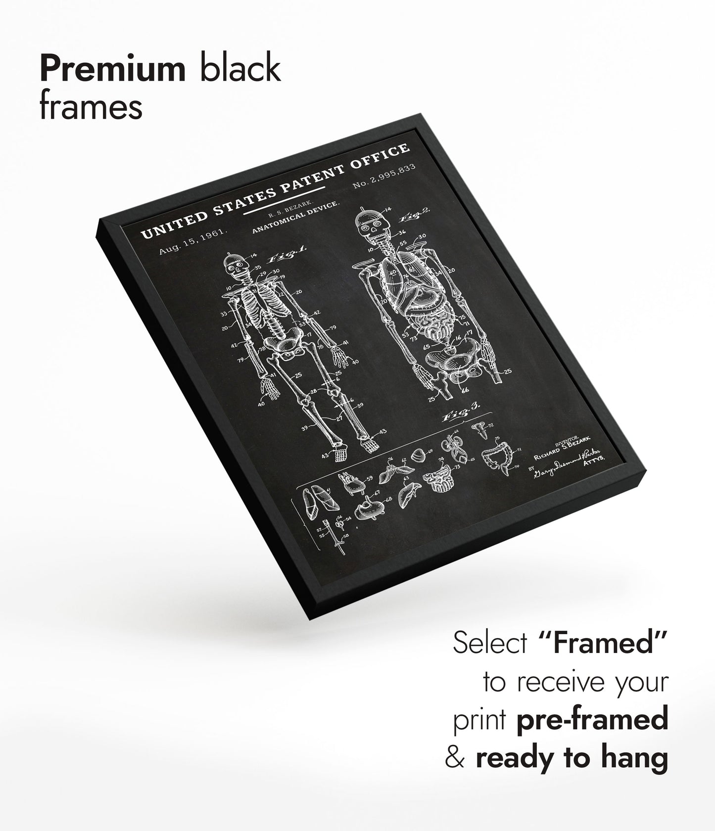 Dispositif anatomique