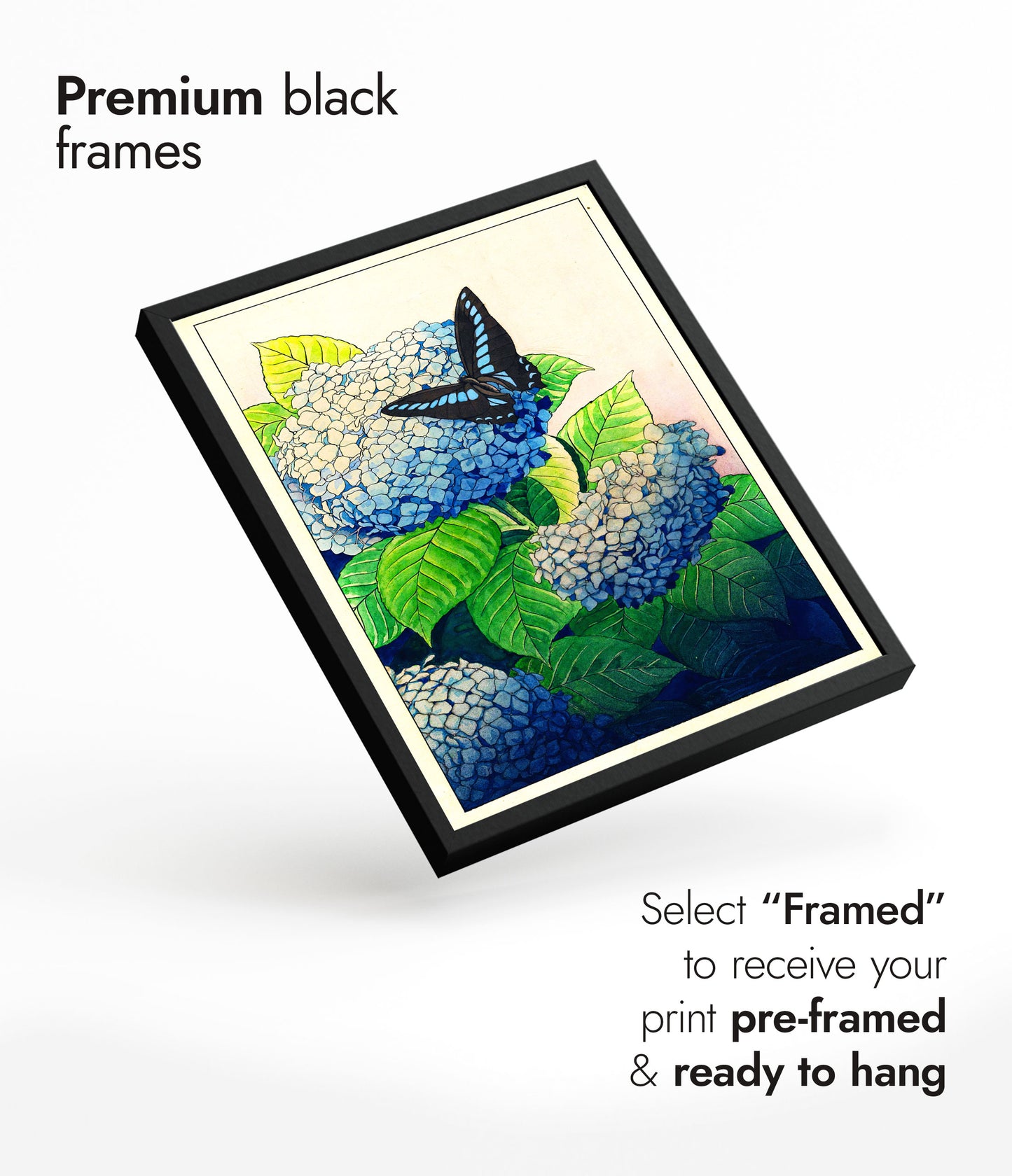 Hortensia's en Vlinder