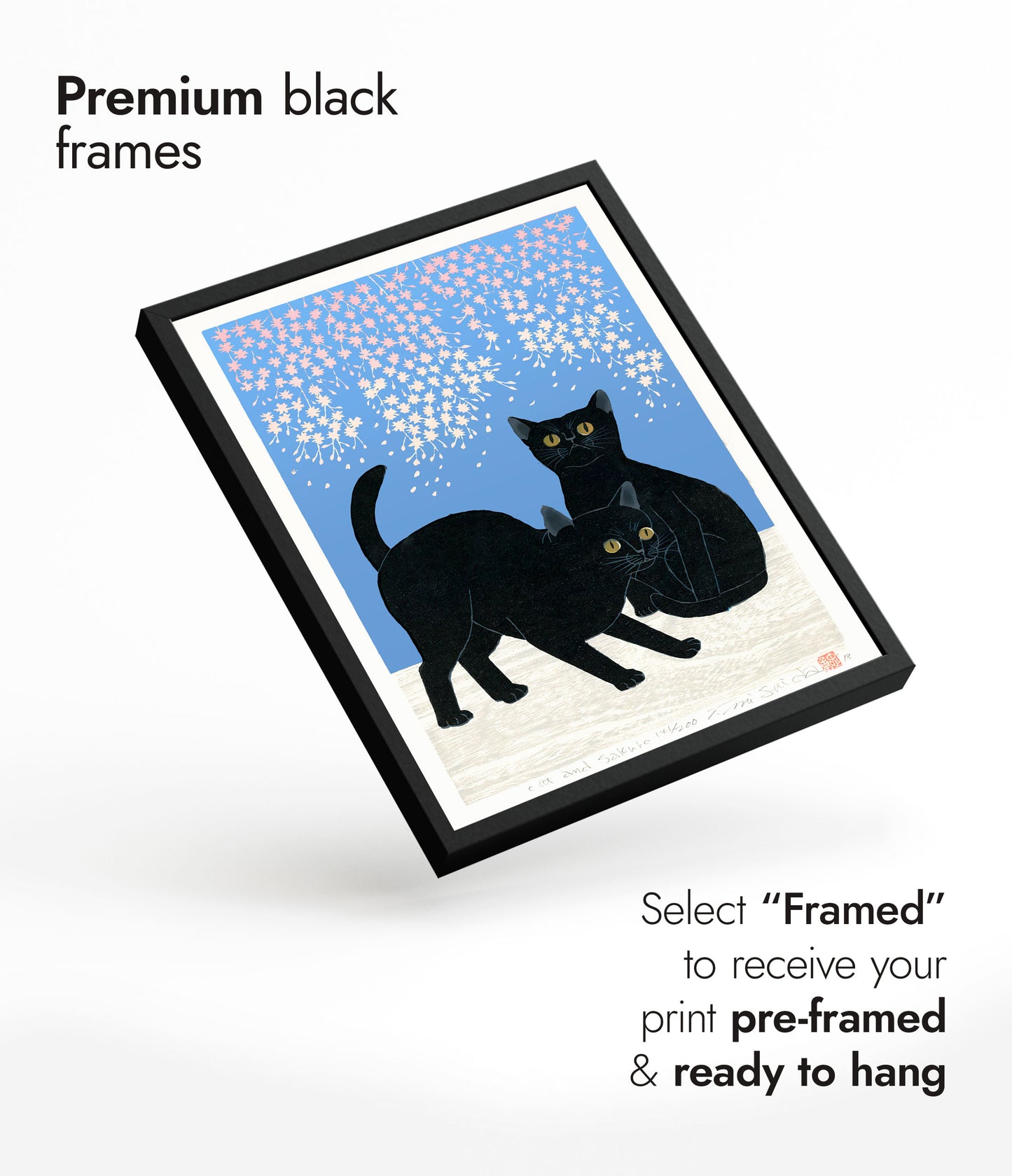 Katter & Körsbärsblommor