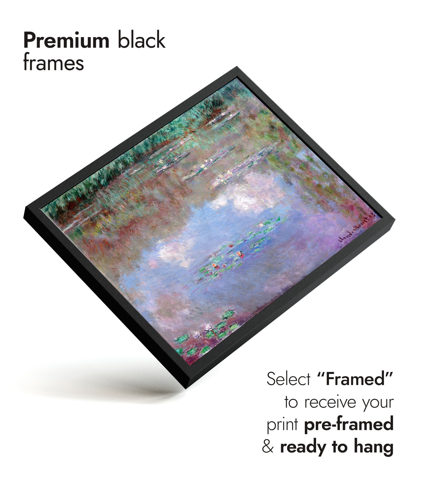 Nuages dans l'étang aux lys