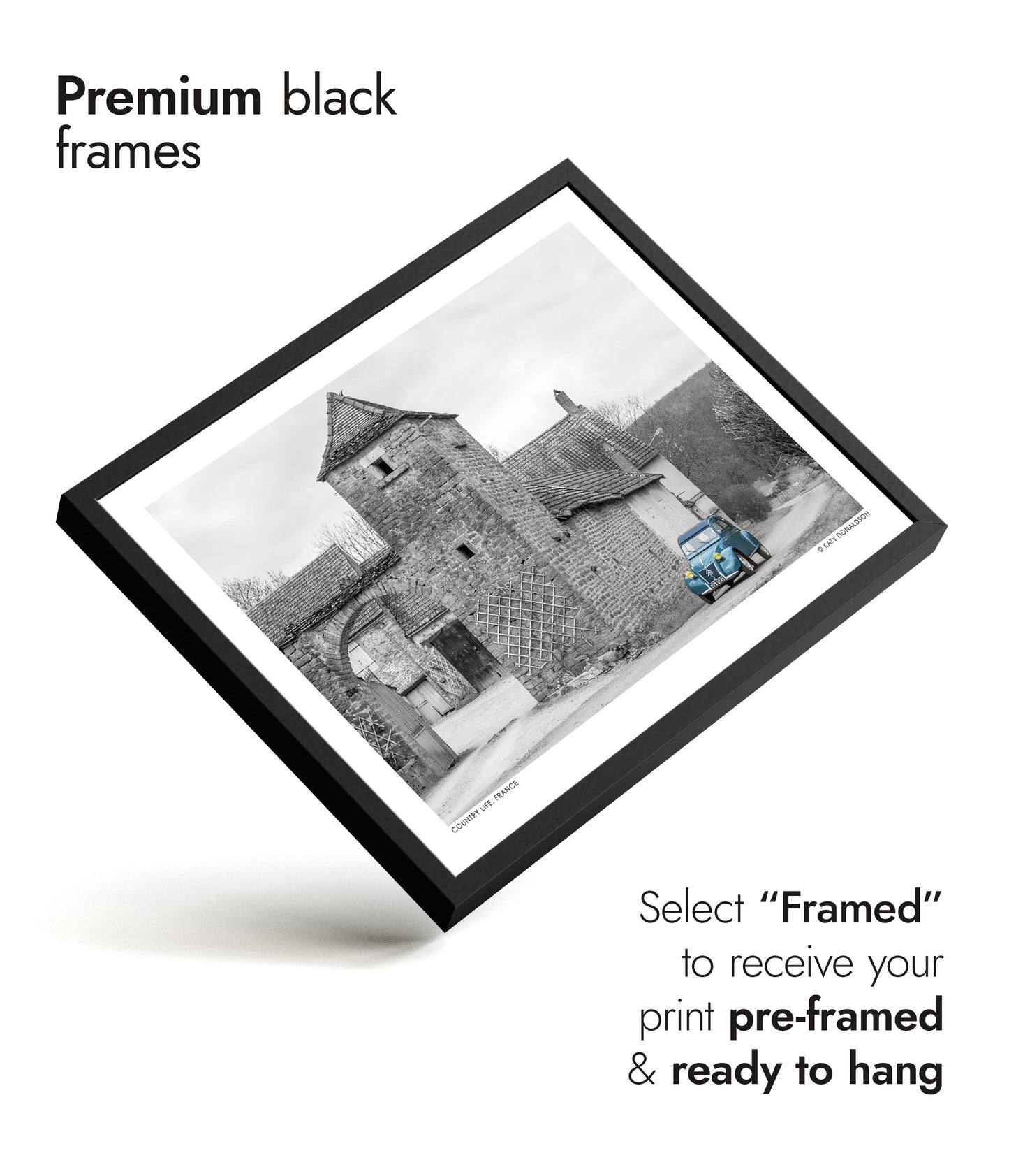 Country Life, France