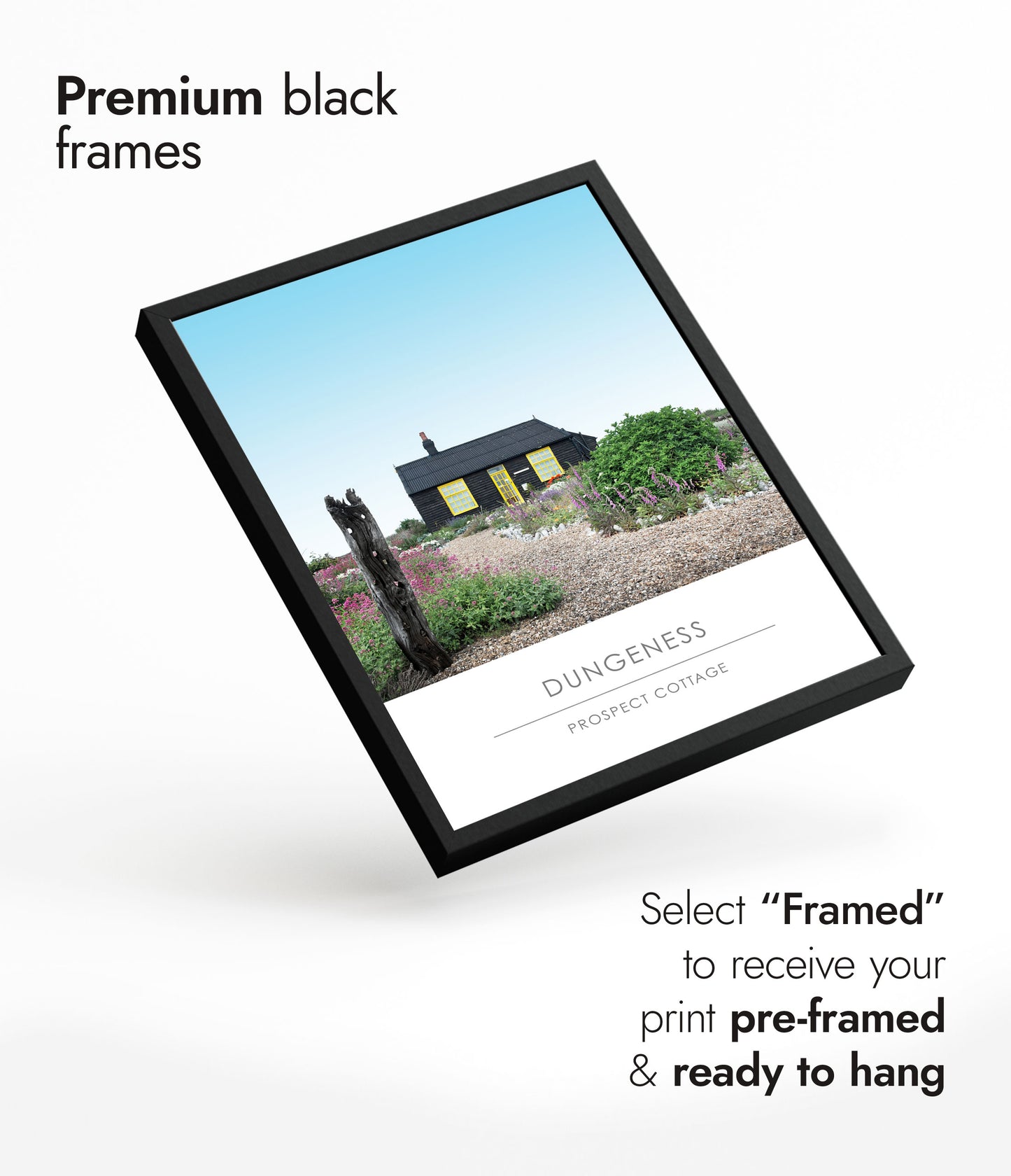 Cottage Prospect, Dungeness