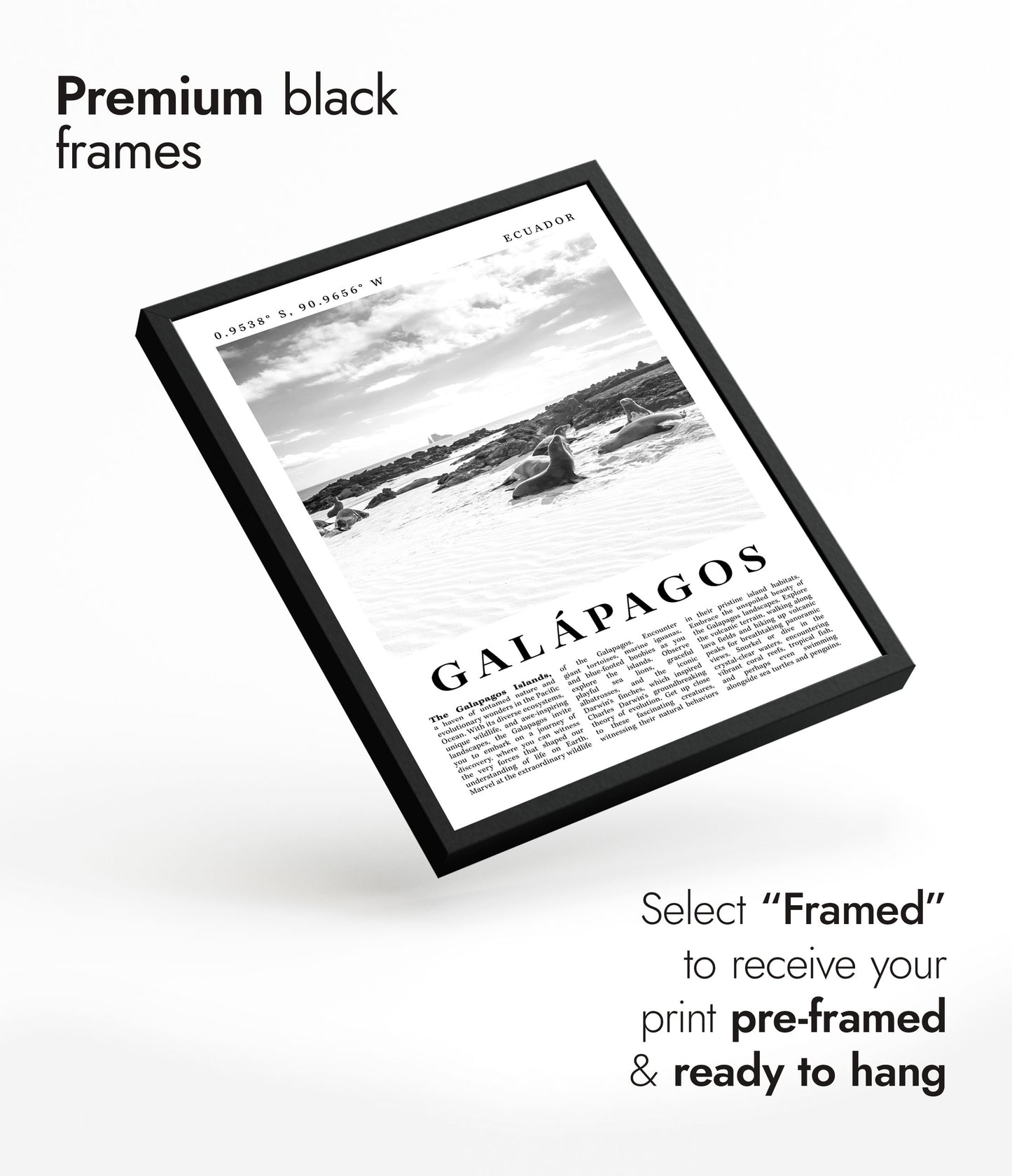 Galápagos - Ecuador