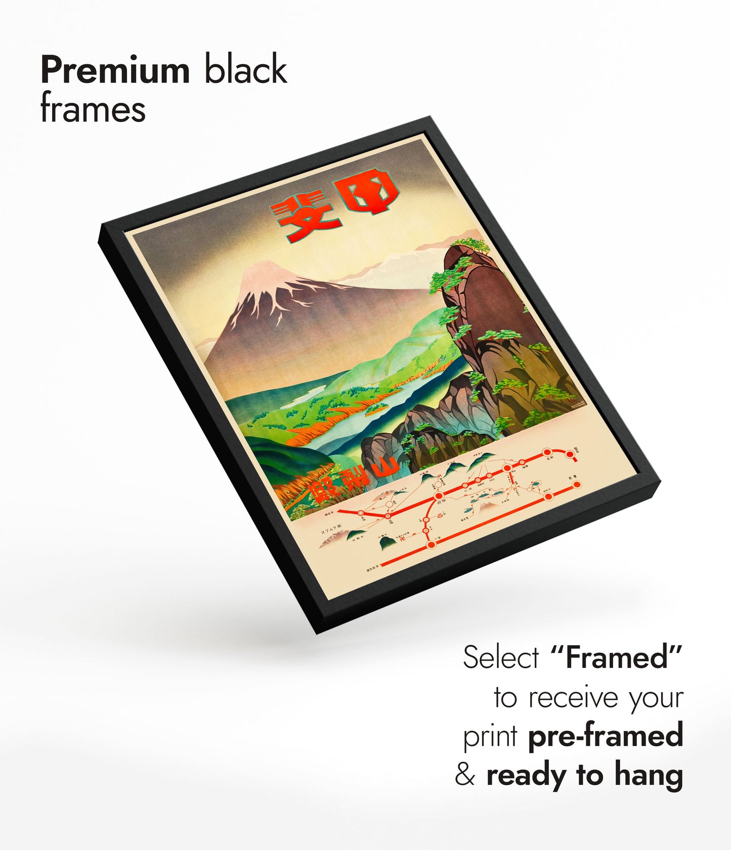 Champs de couleur, préfecture de Yamanashi