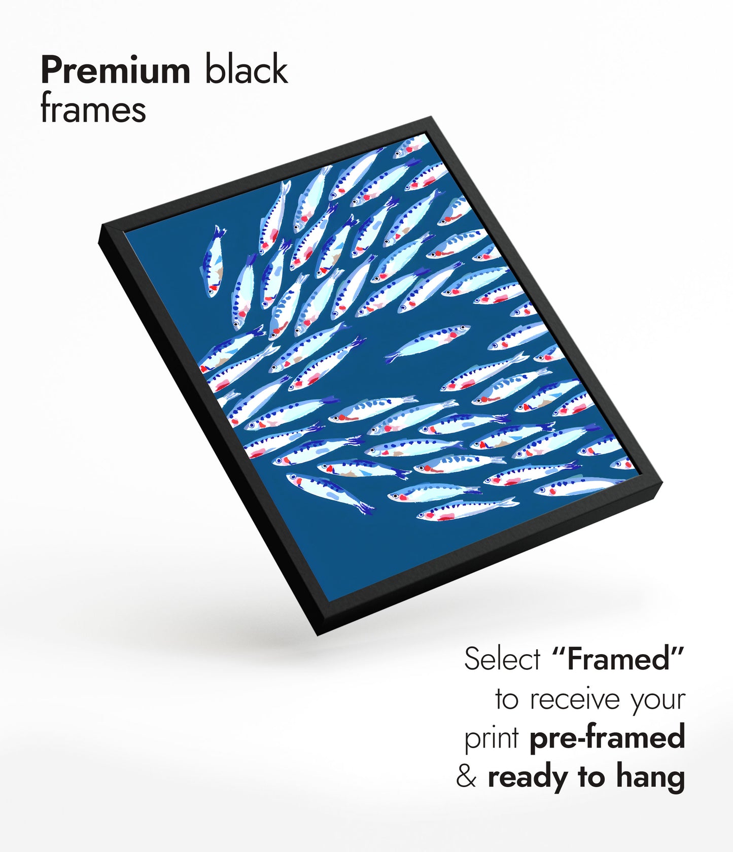 Gegen den Fischschwarm schwimmen