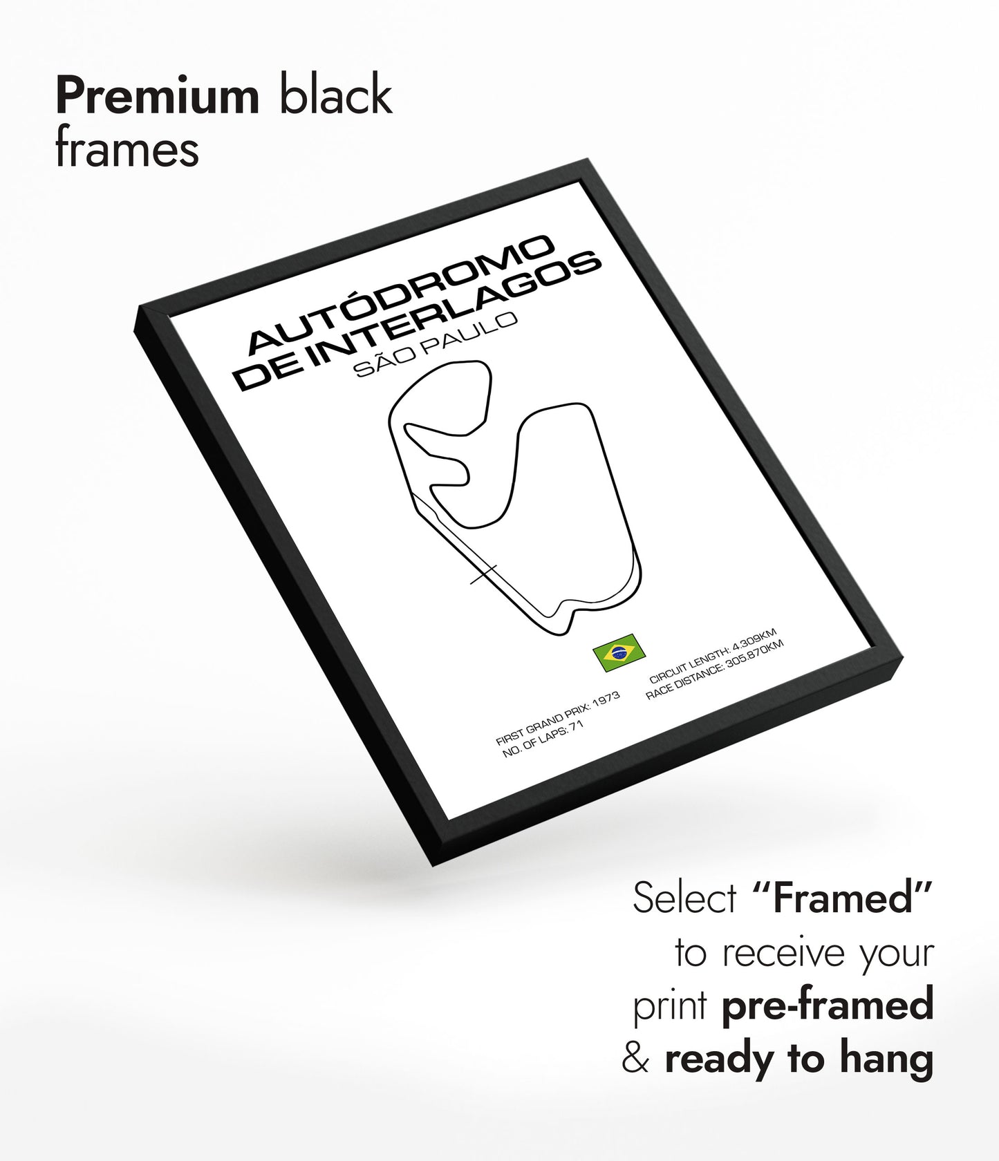 Grand Prix du Brésil