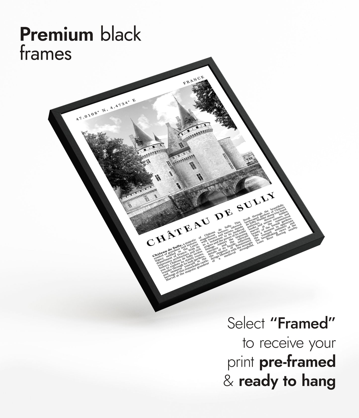 Chateau de Sully - France