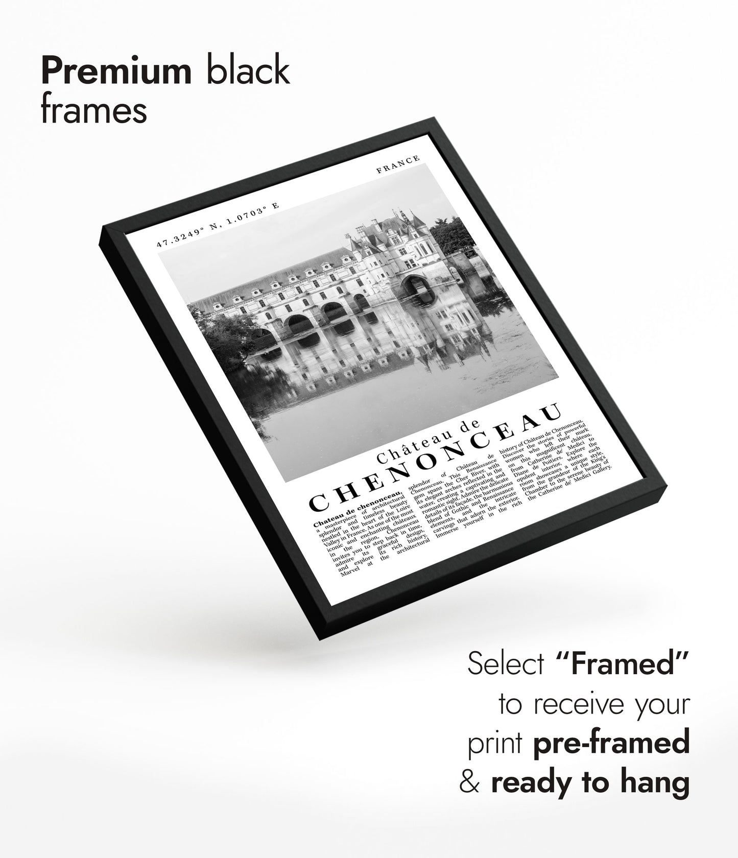 Château de Chenonceau - Frankrike