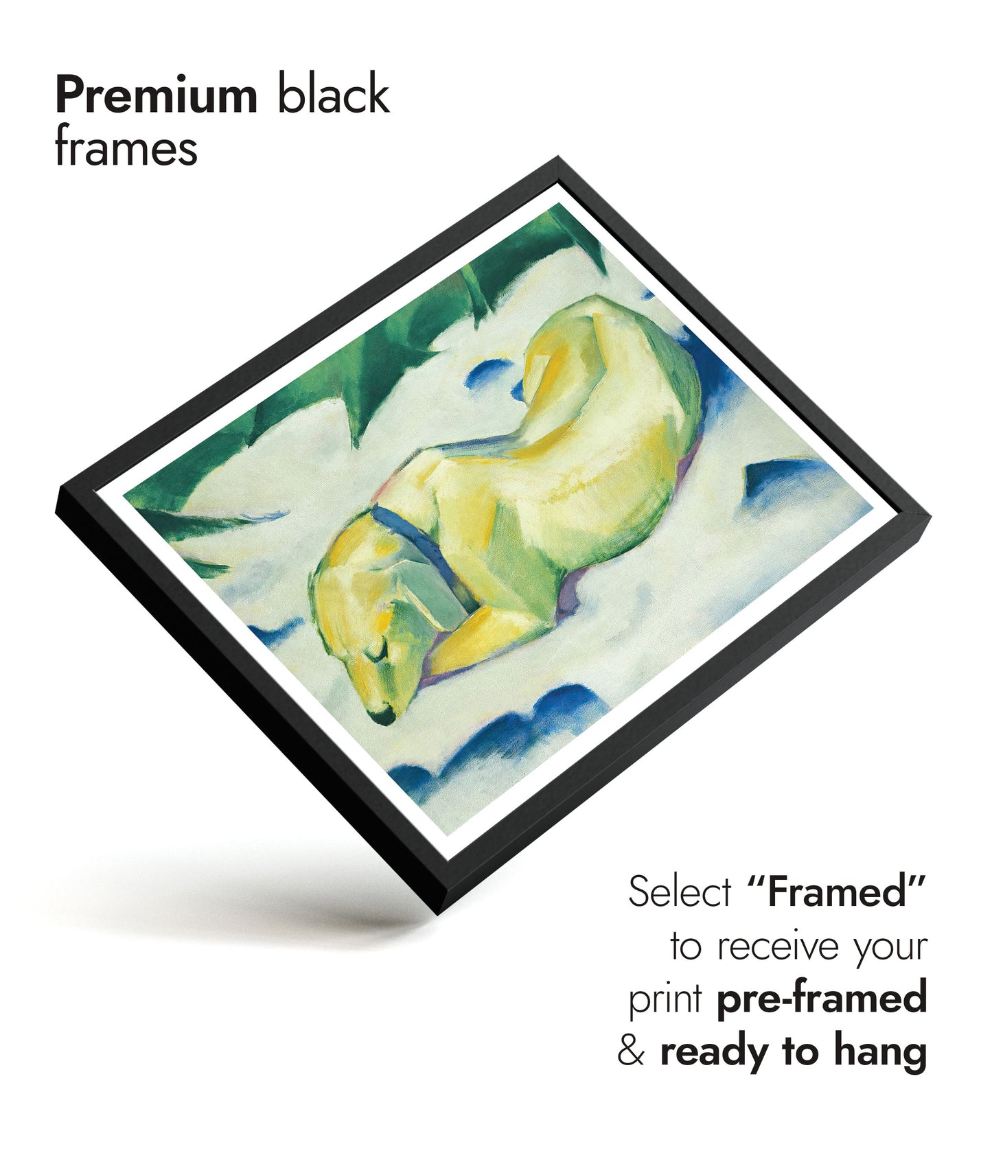 Dog Lying in the Snow