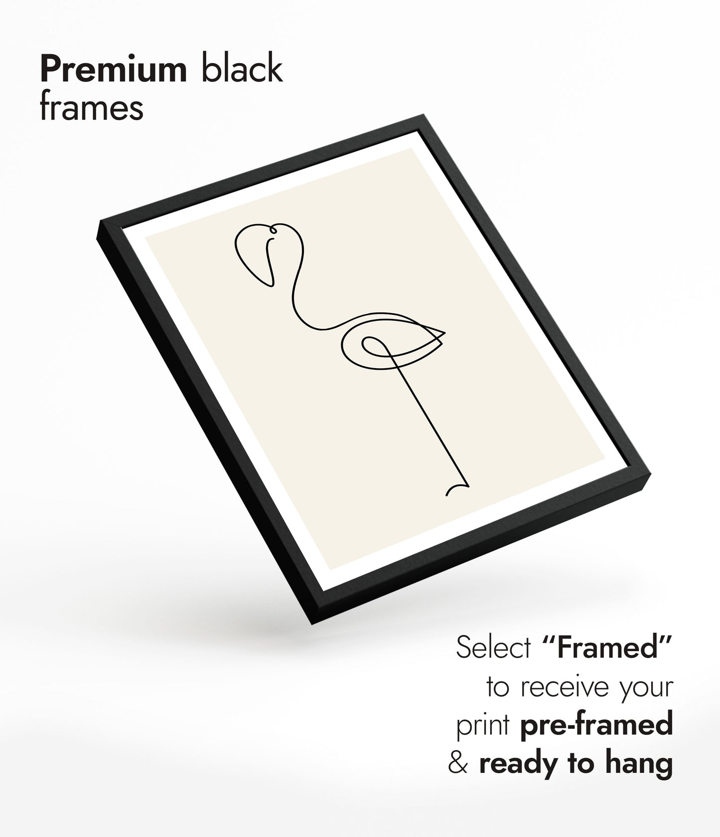 Gracieus Uitbundigheid