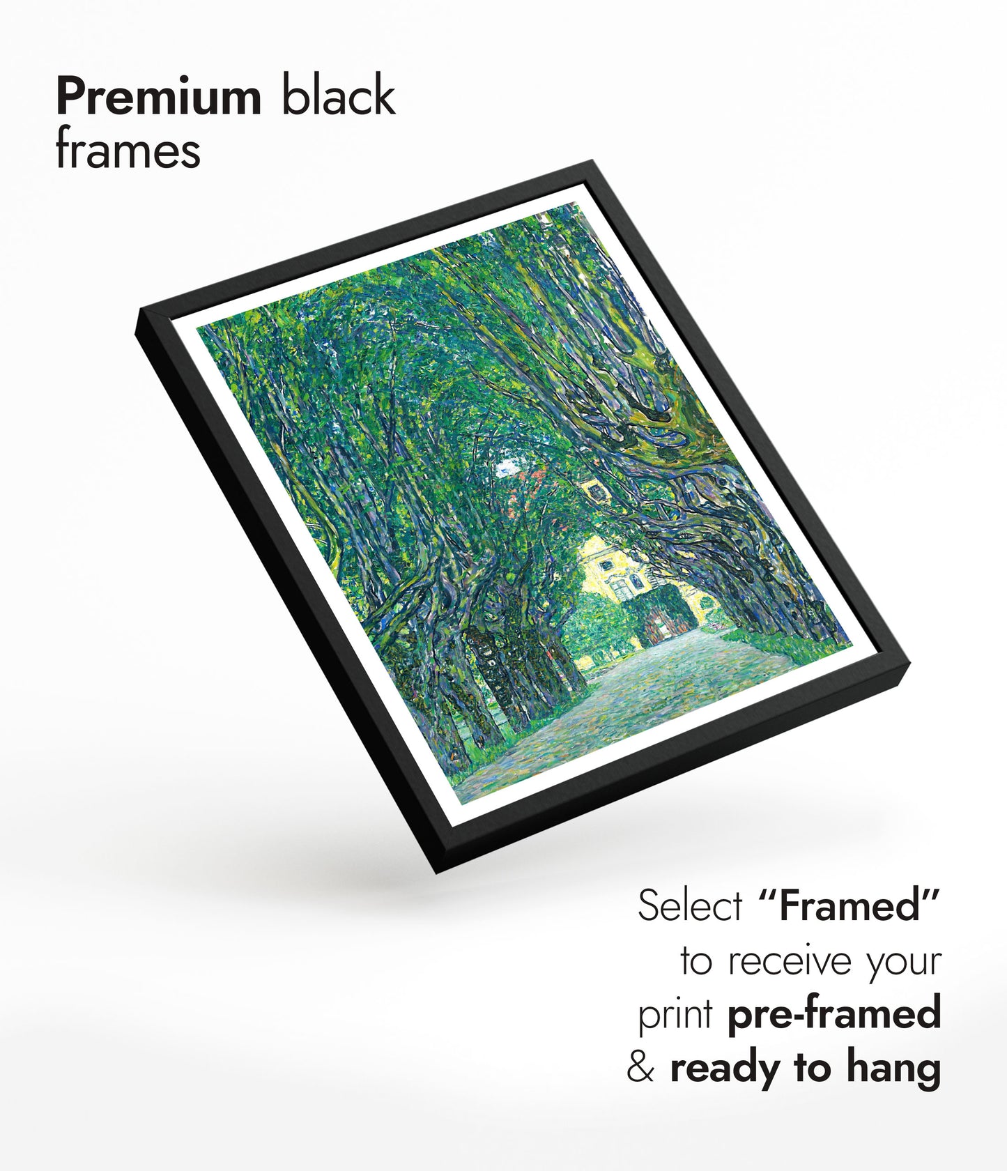 Allé till Schloss Kammer