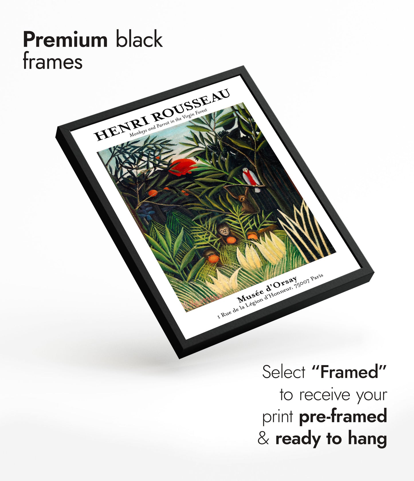 Apdjur och papegoja i den orörda skogen