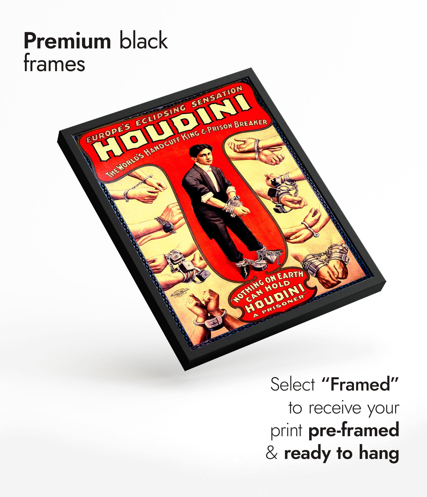 Houdini Escapologist