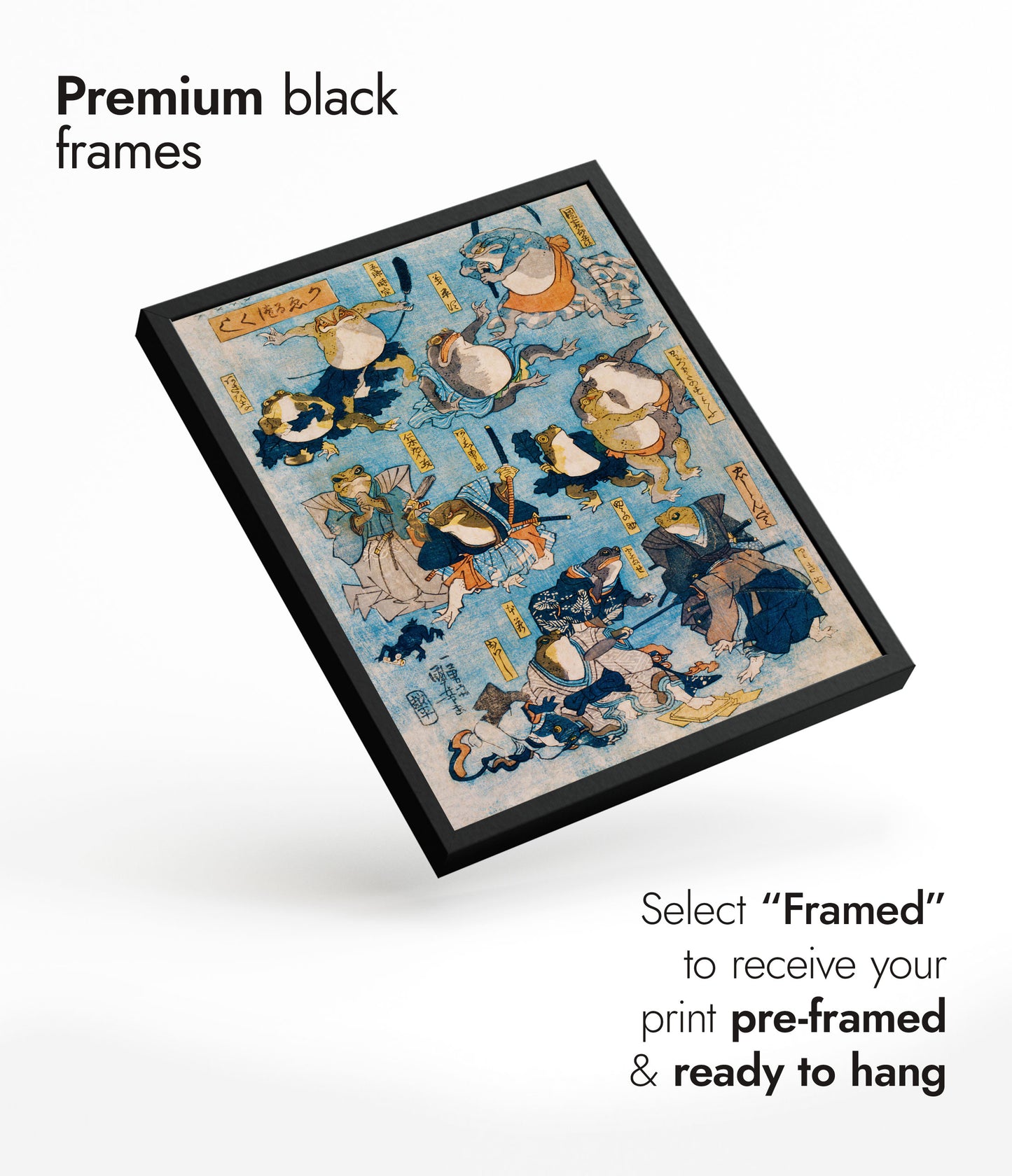 Hjältarna från Kabuki-grodorna