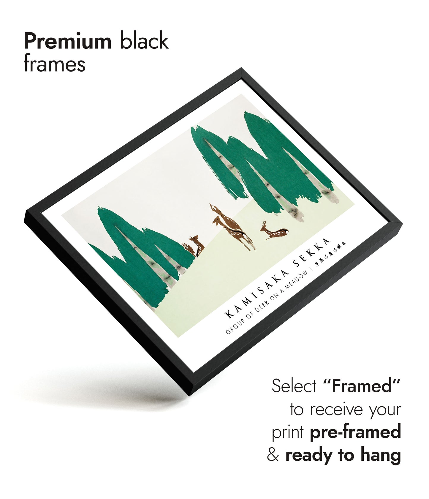 Group of Deer on a Meadow