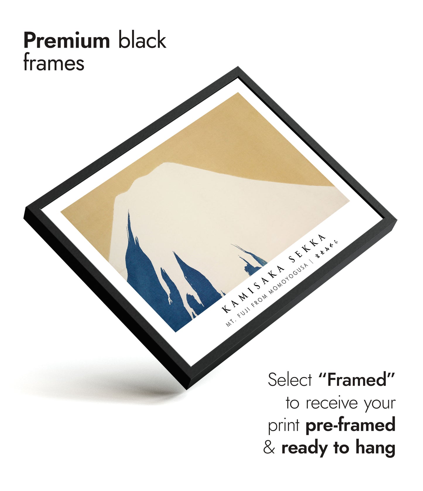 Mount Fuji from Momoyogusa