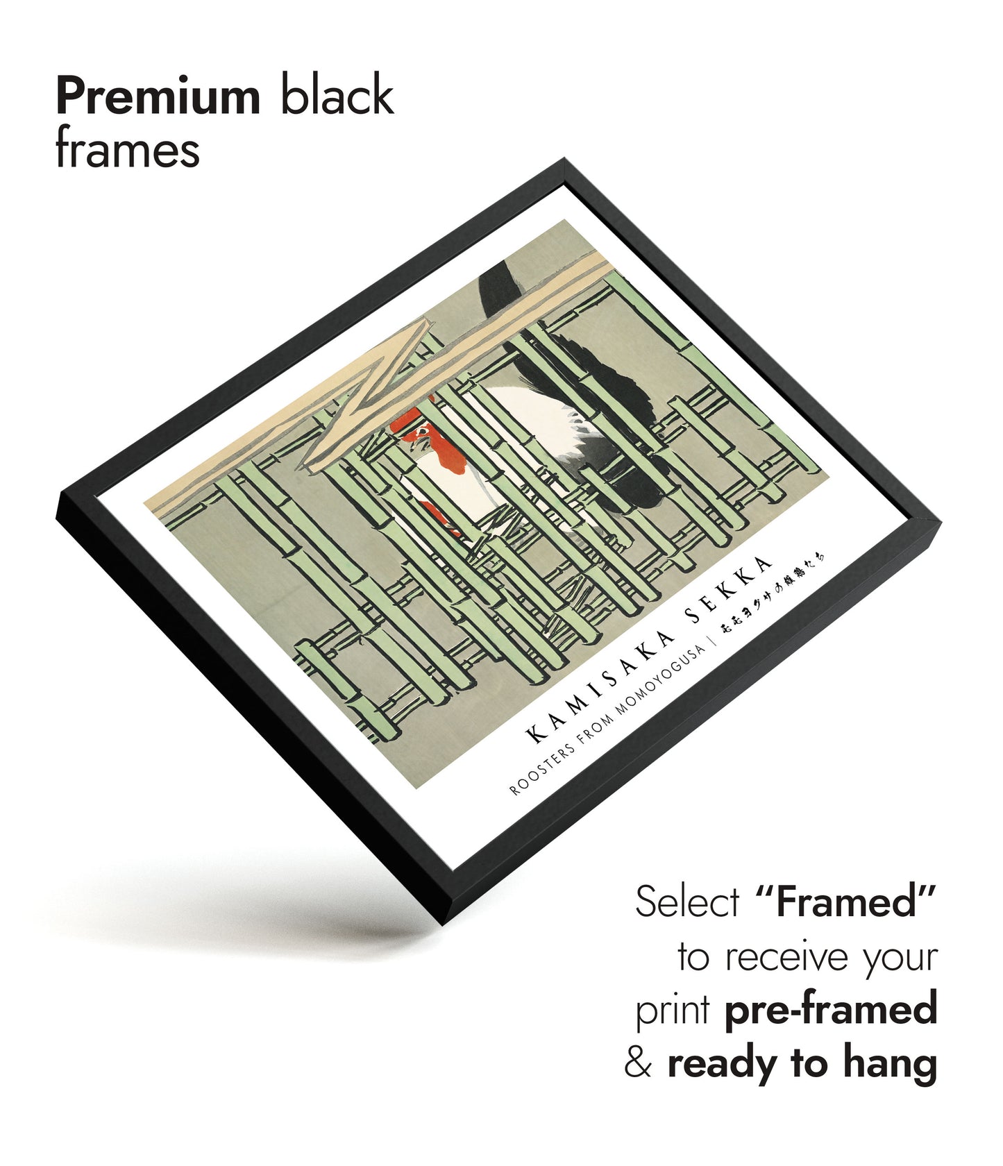 Roosters from Momoyogusa