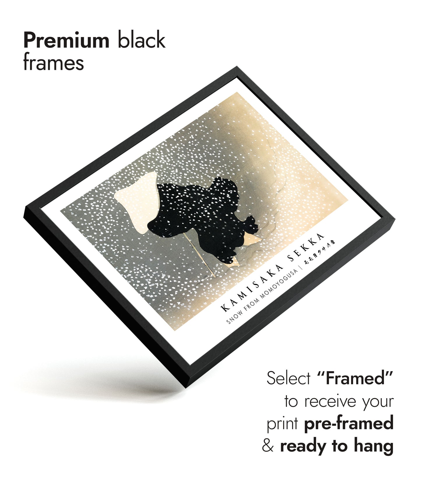 Snow from Momoyogusa