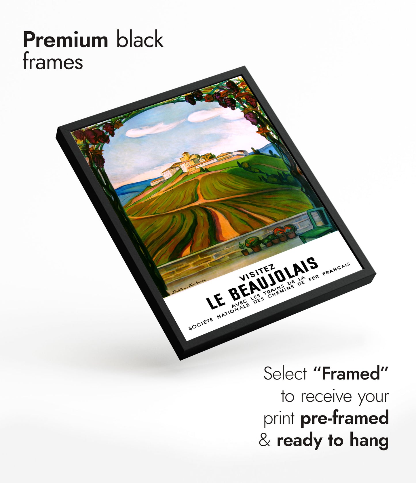 De Beaujolais, Frankrijk