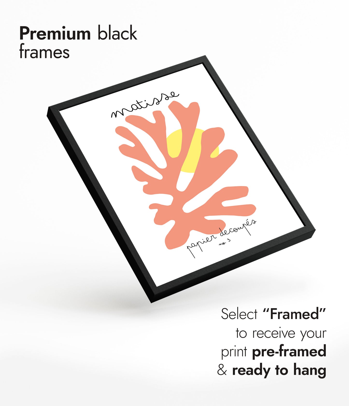 Matisse Ausschneidearbeiten Nr. 3