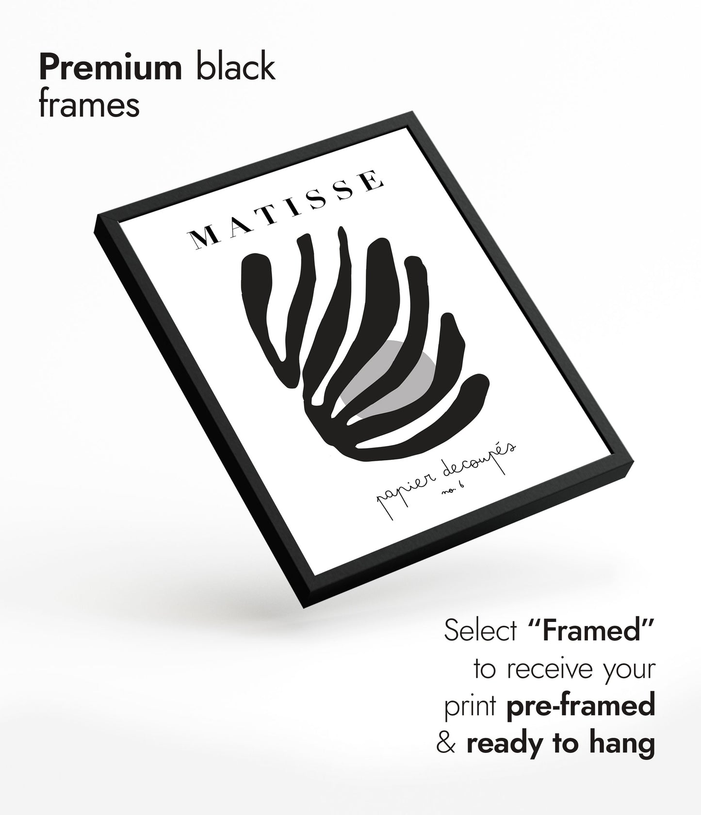 Découpages de Matisse n° 6 Noir et Blanc