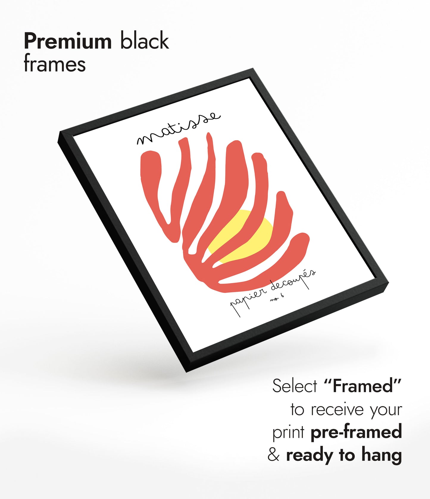 Matisse Uitsneden nr. 6