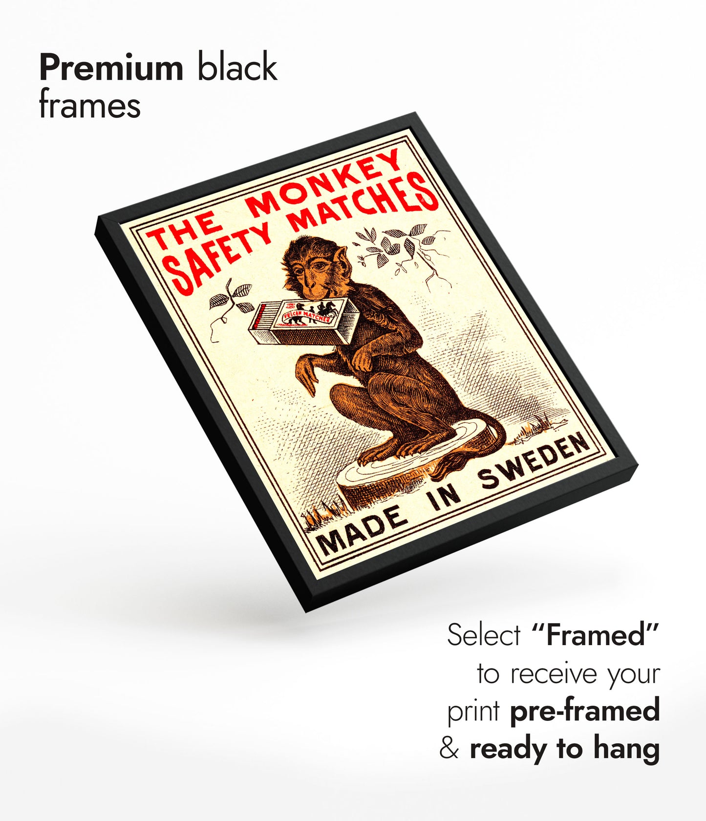 Allumettes de sécurité Monkey