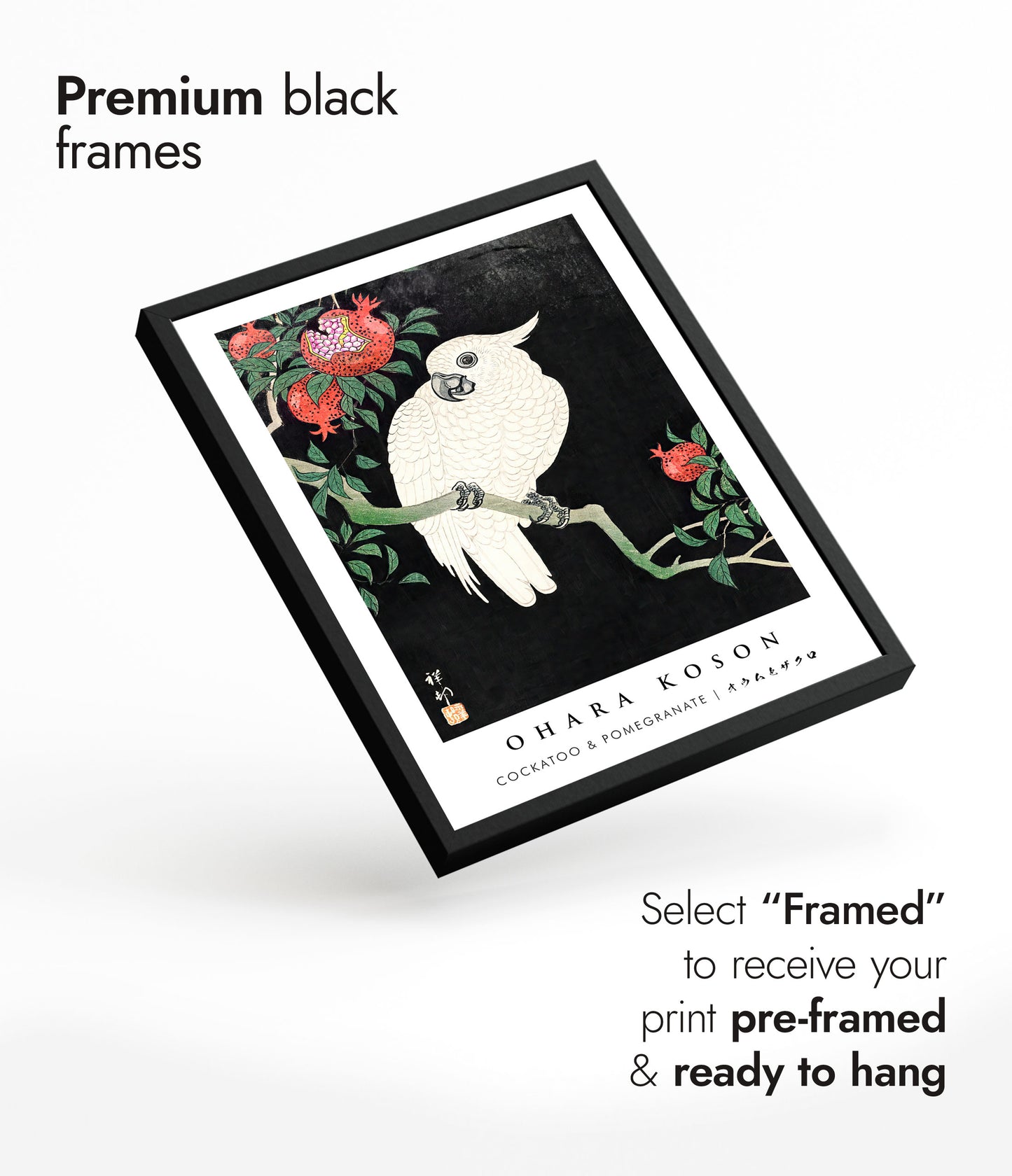 Kaketoe & Granaatappel