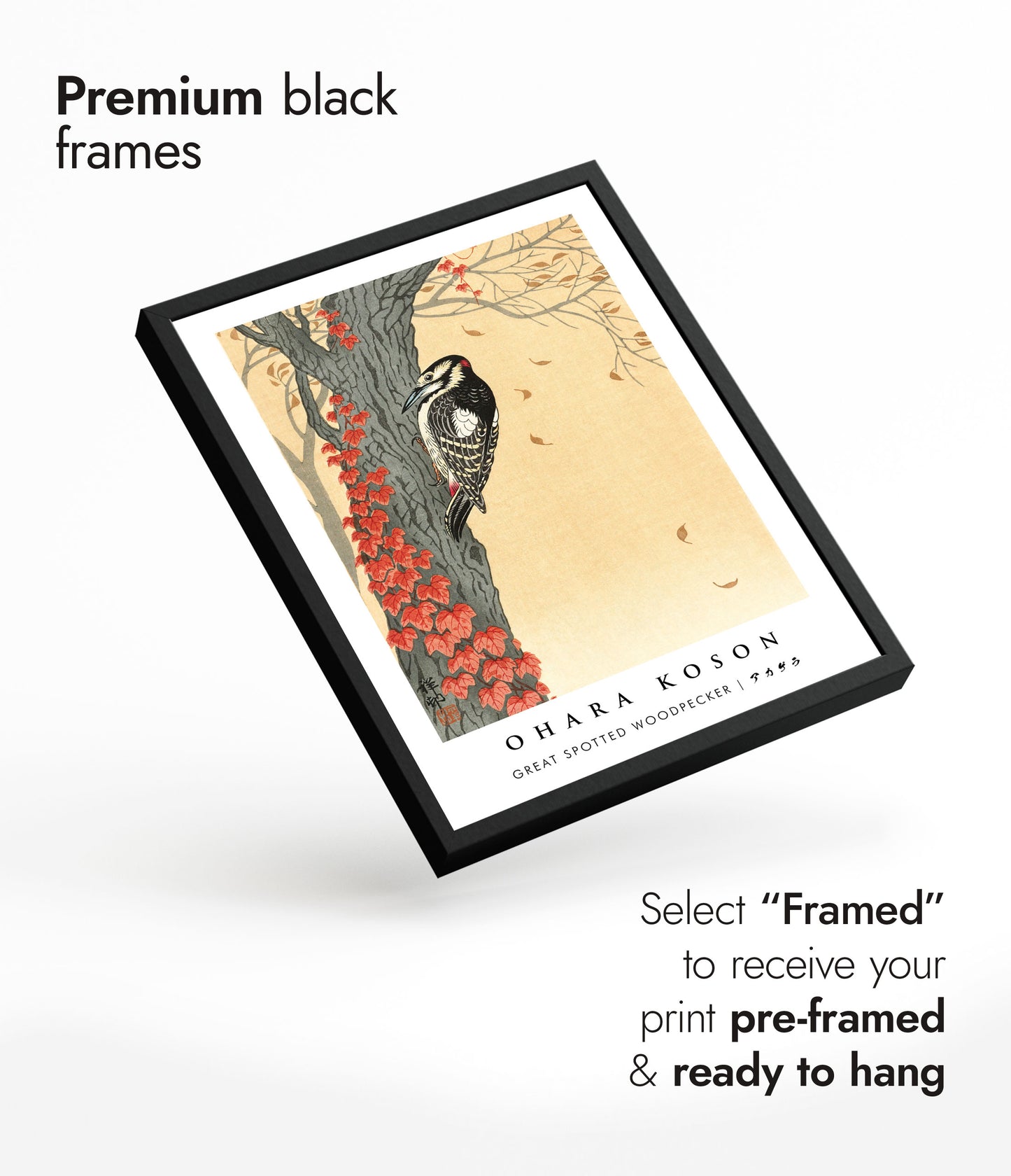 Great Spotted Woodpecker