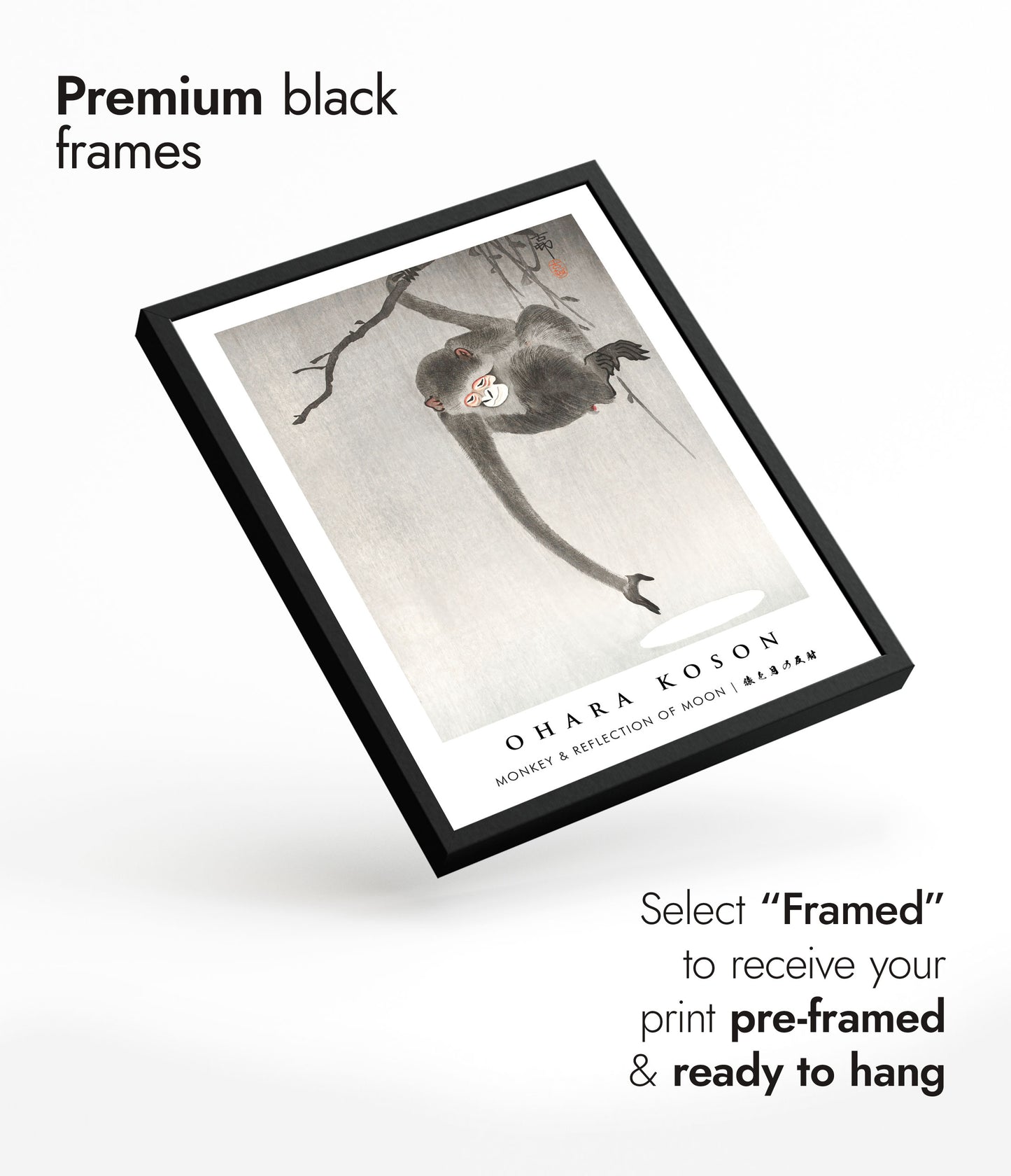 Singe et reflet de la lune