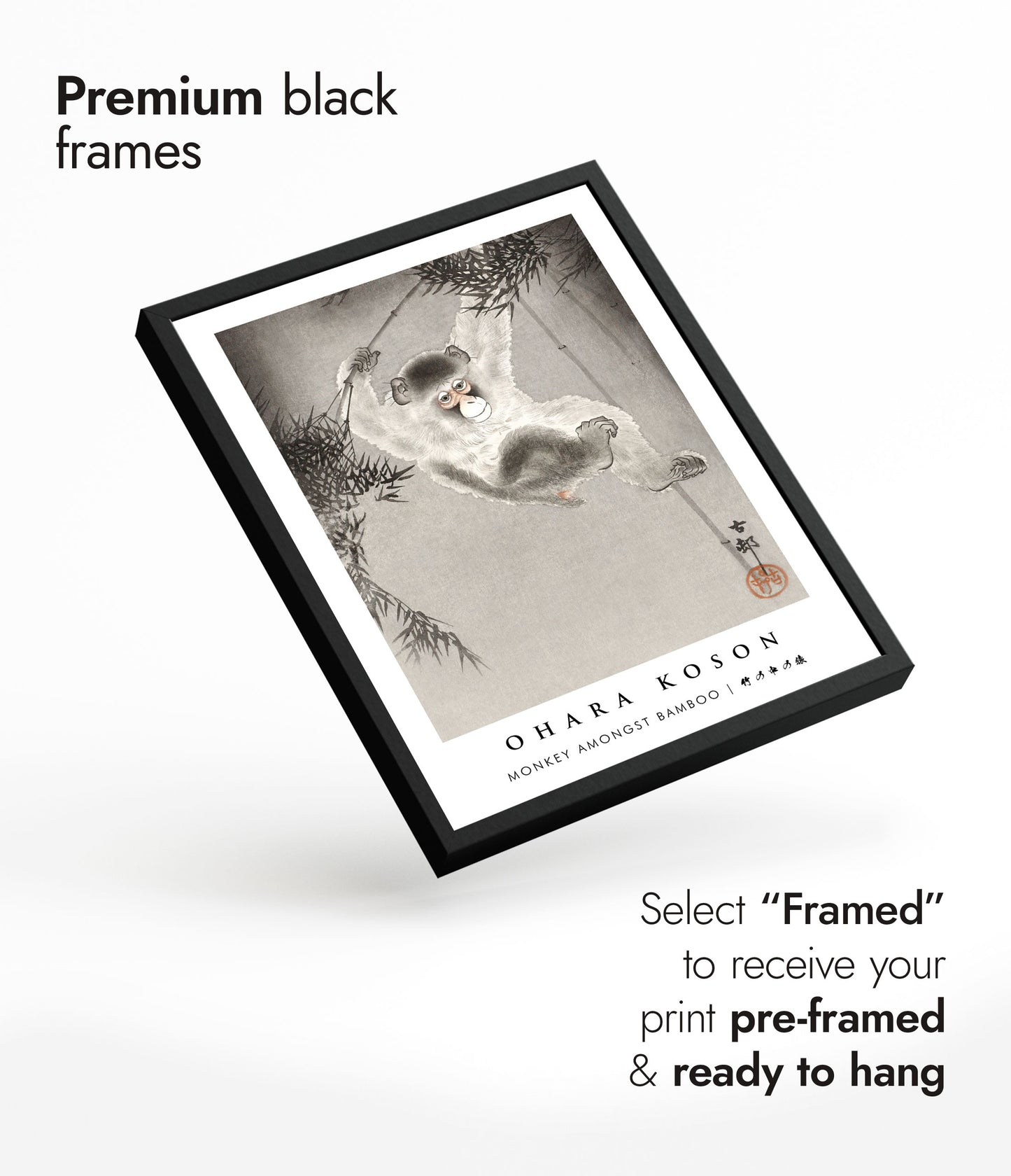 Singe parmi les bambous