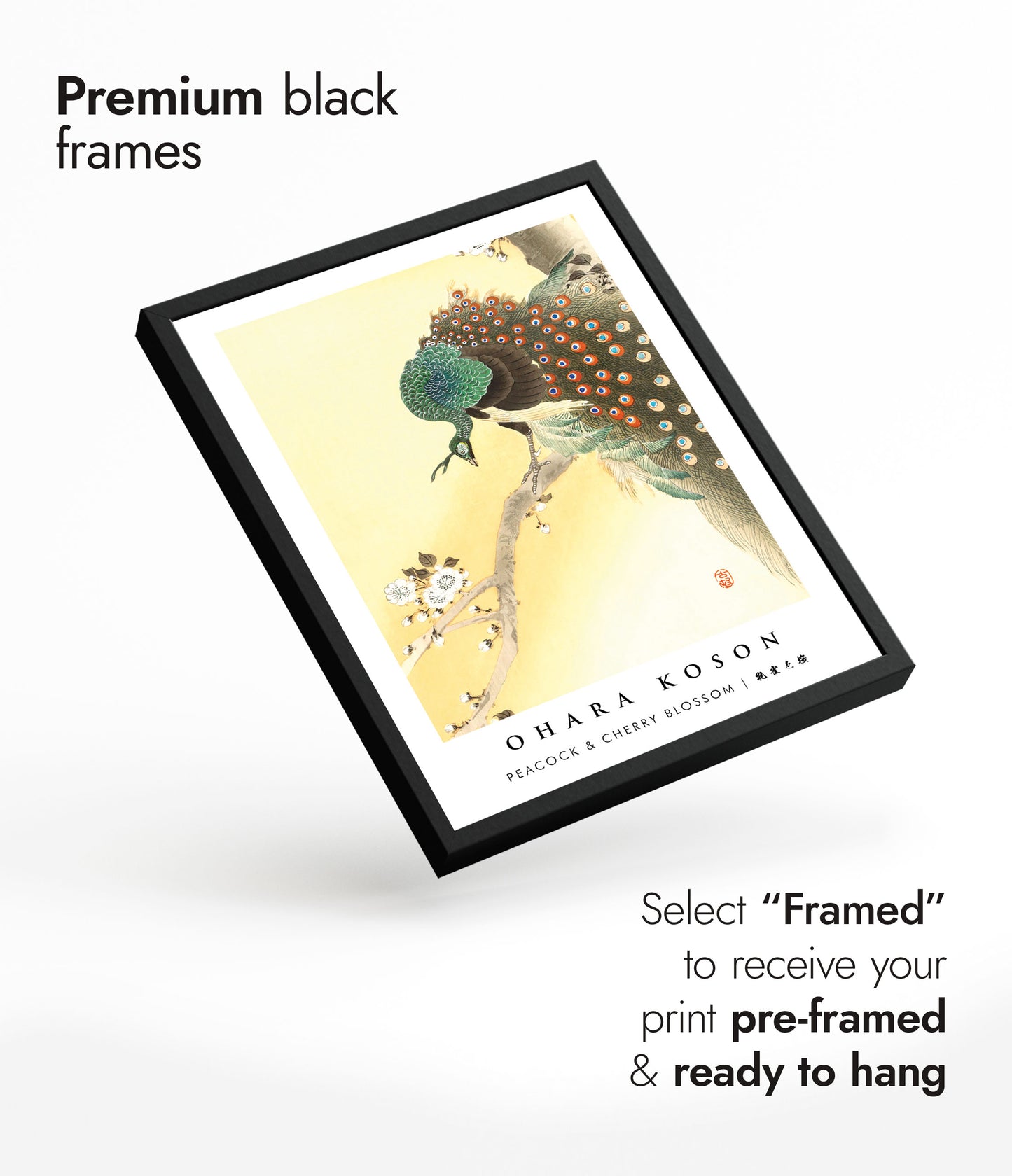 Peacock & Cherry Blossom