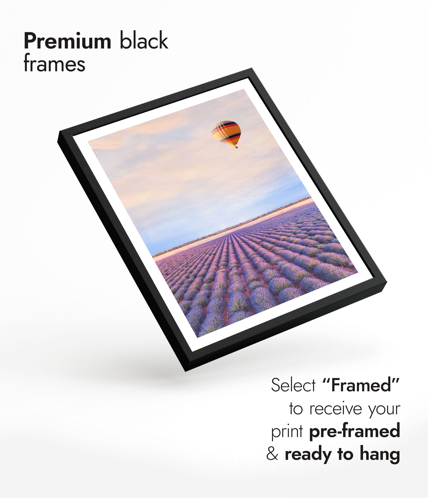 Lavendelfelder in der Provence, Frankreich