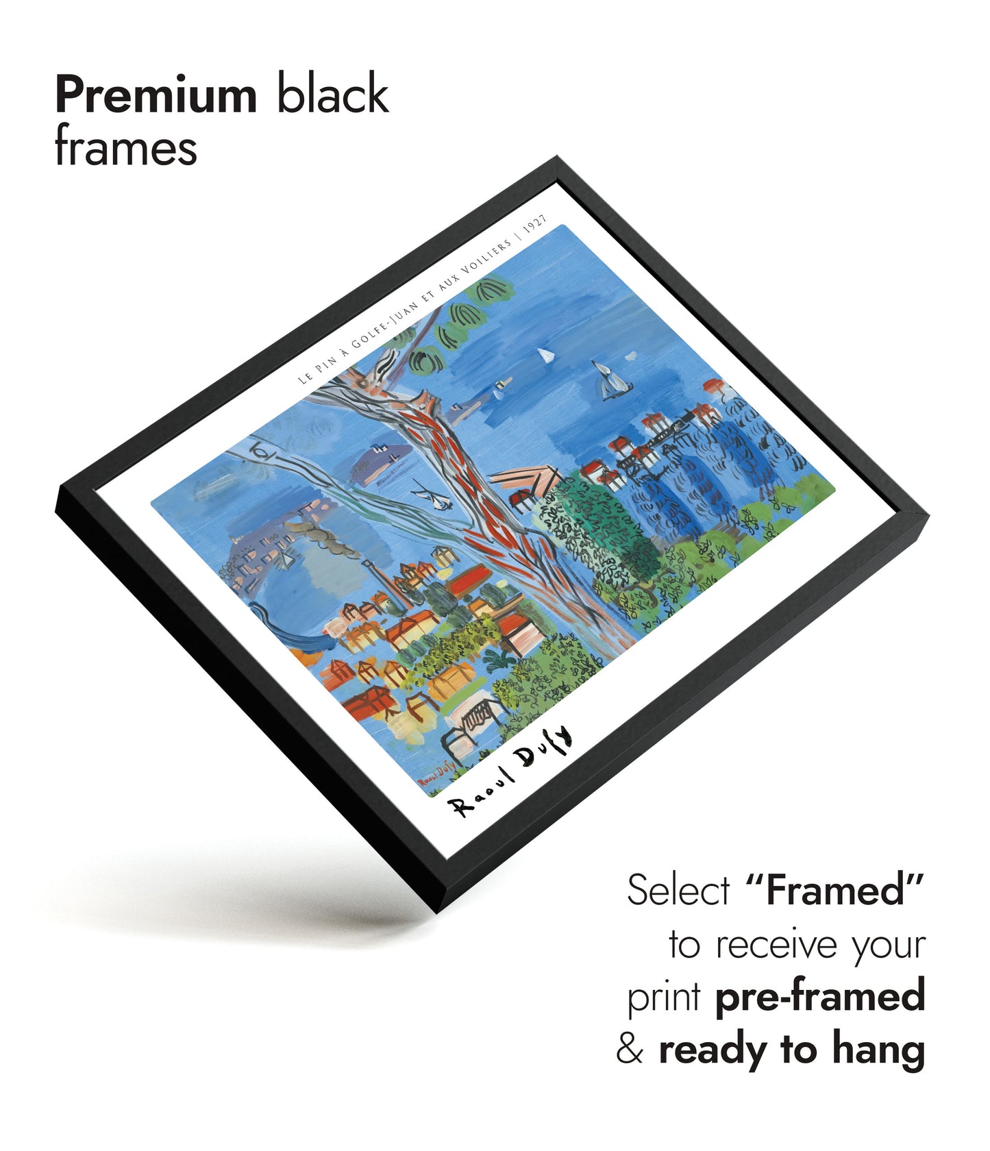 Le Pin à Golfe-Juan et aux Voiliers