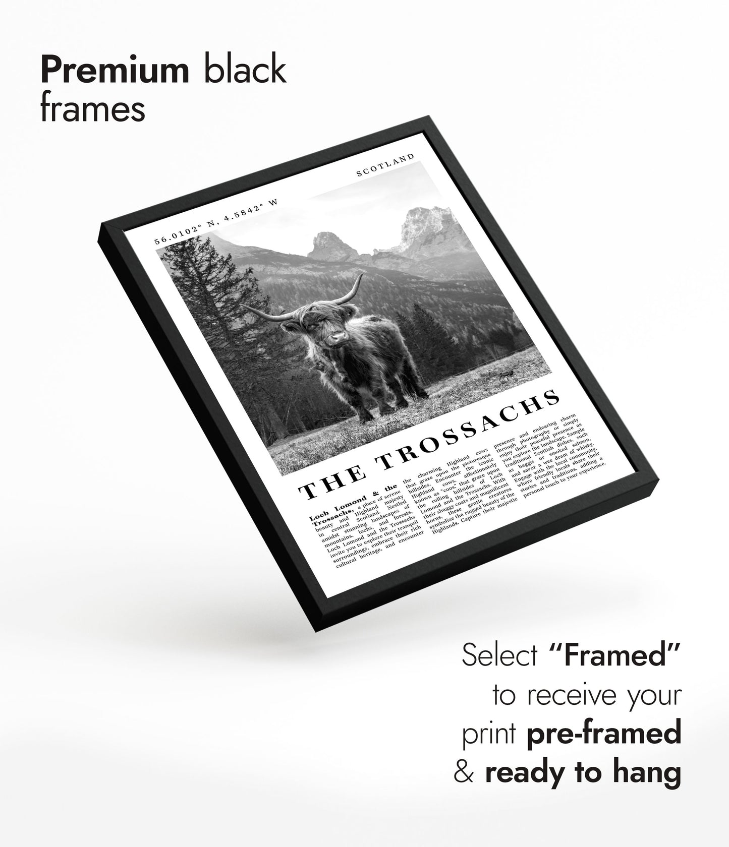 The Trossachs - Scotland