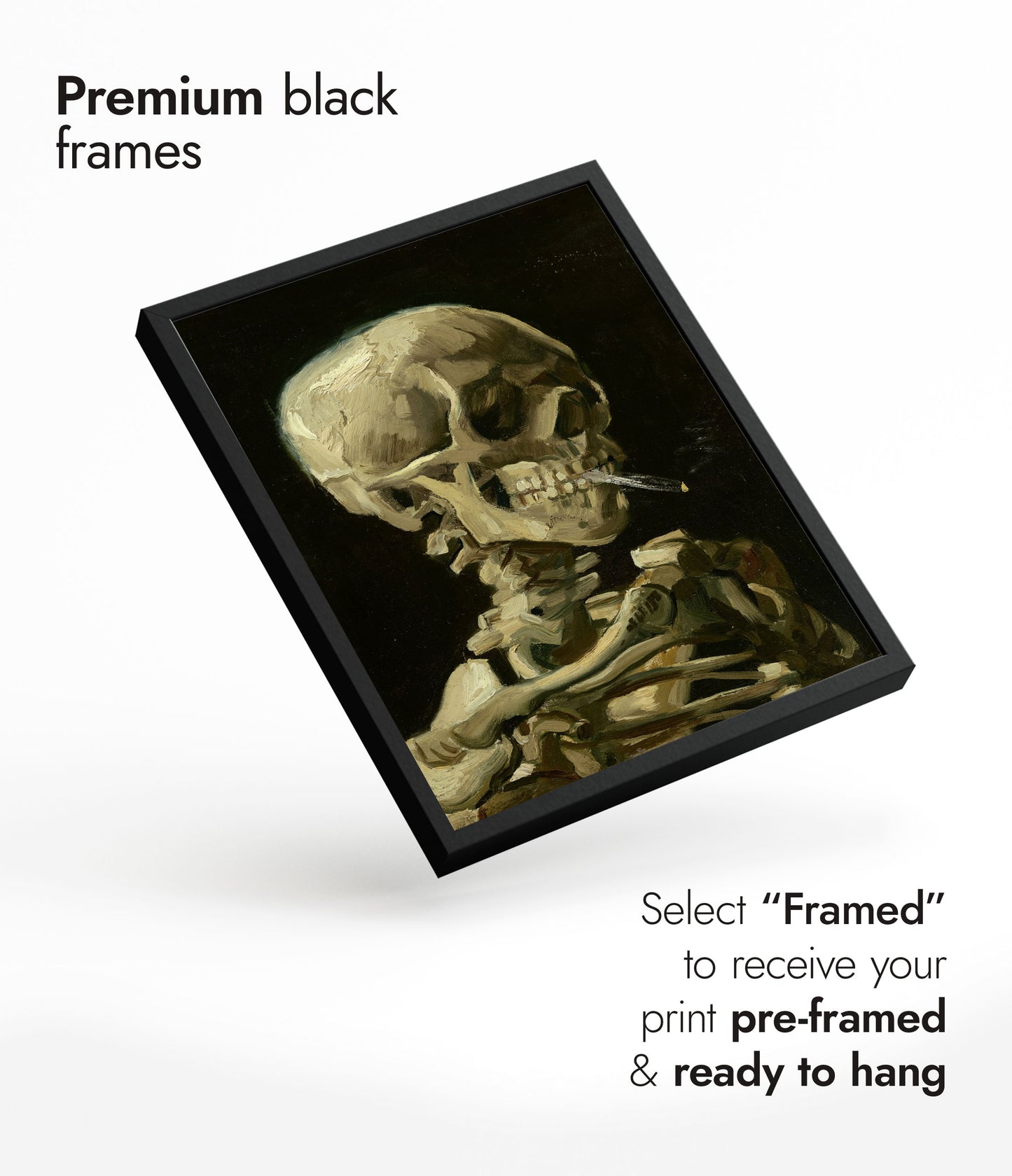 Skull of a Skeleton with Burning Cigarette