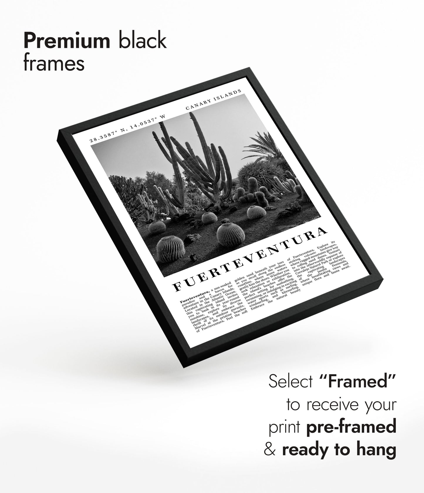 Fuerteventura - Spanien