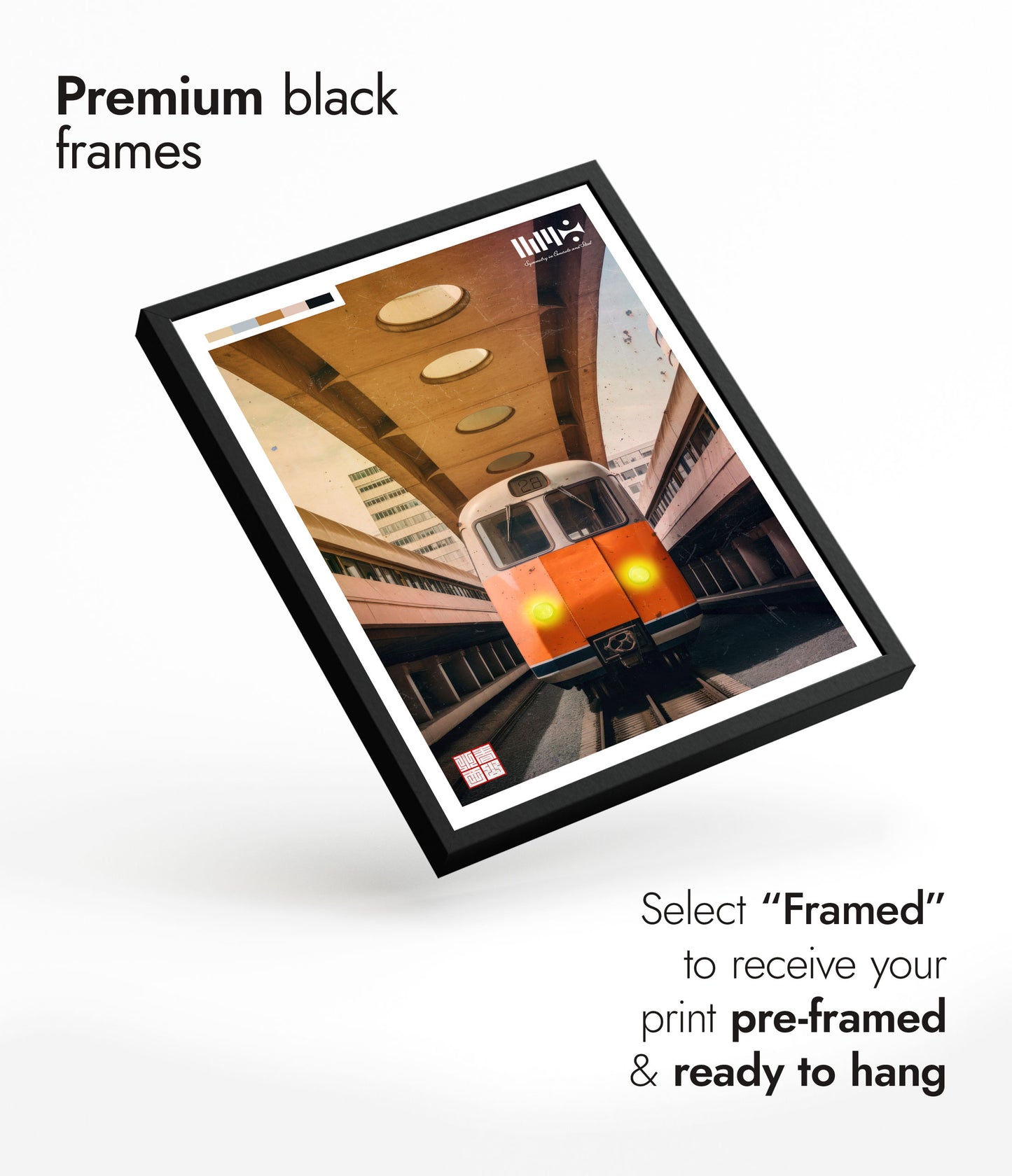 Symmetry in Concrete & Steel