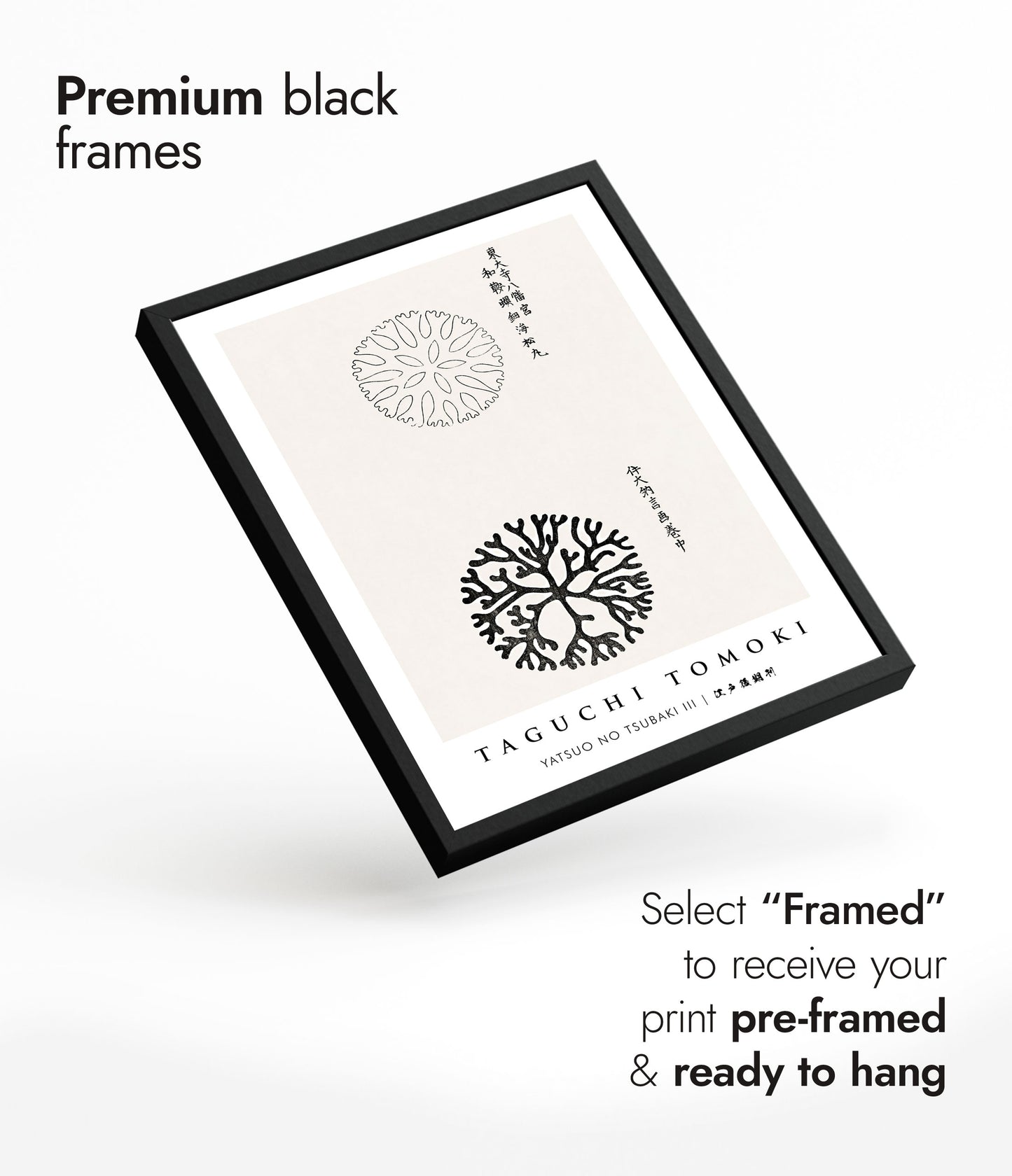 Yatsuo no Tsubaki III