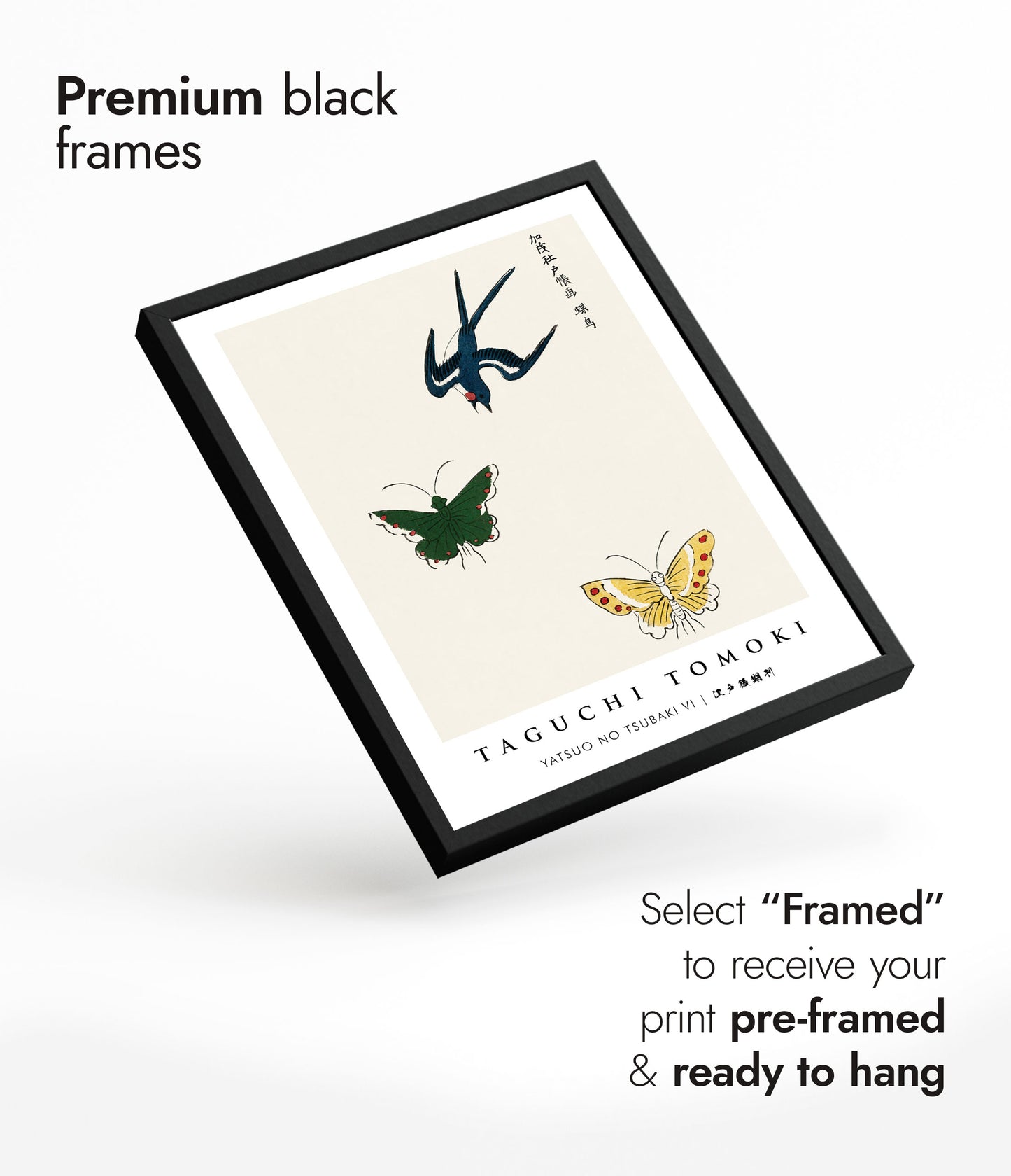 Yatsuo no Tsubaki VI