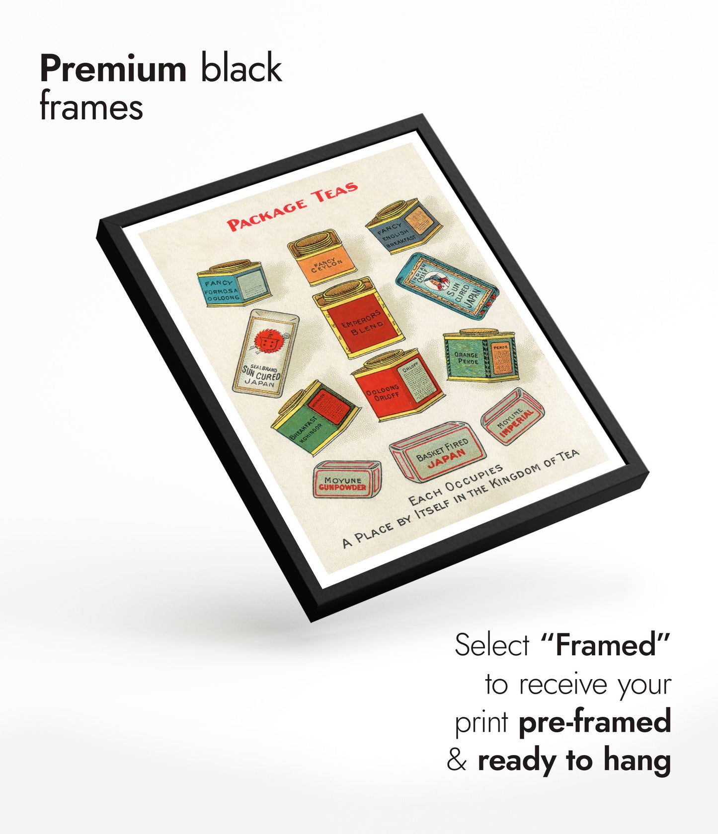 Het Koninkrijk van Thee