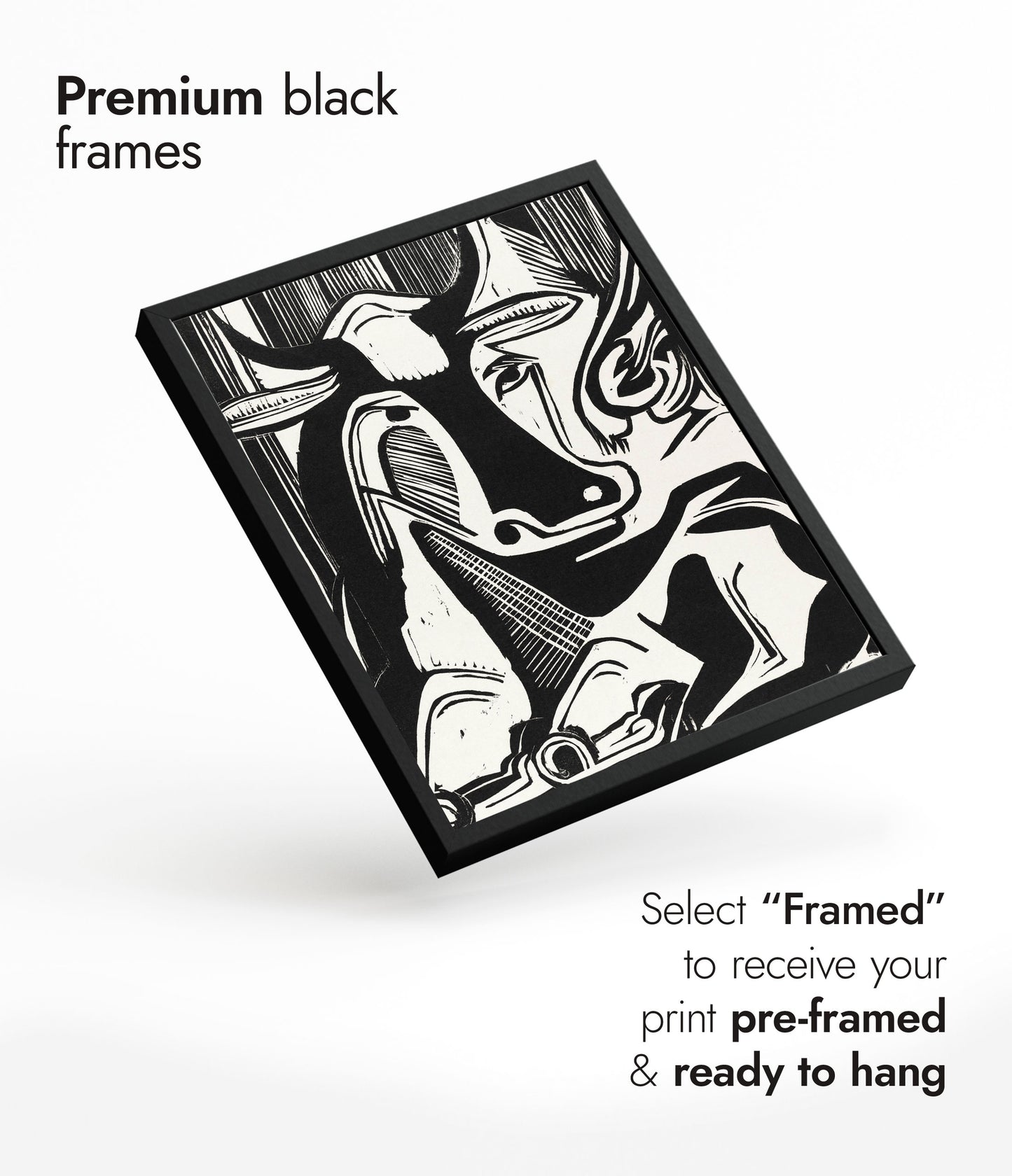 Large Cow Lying Down