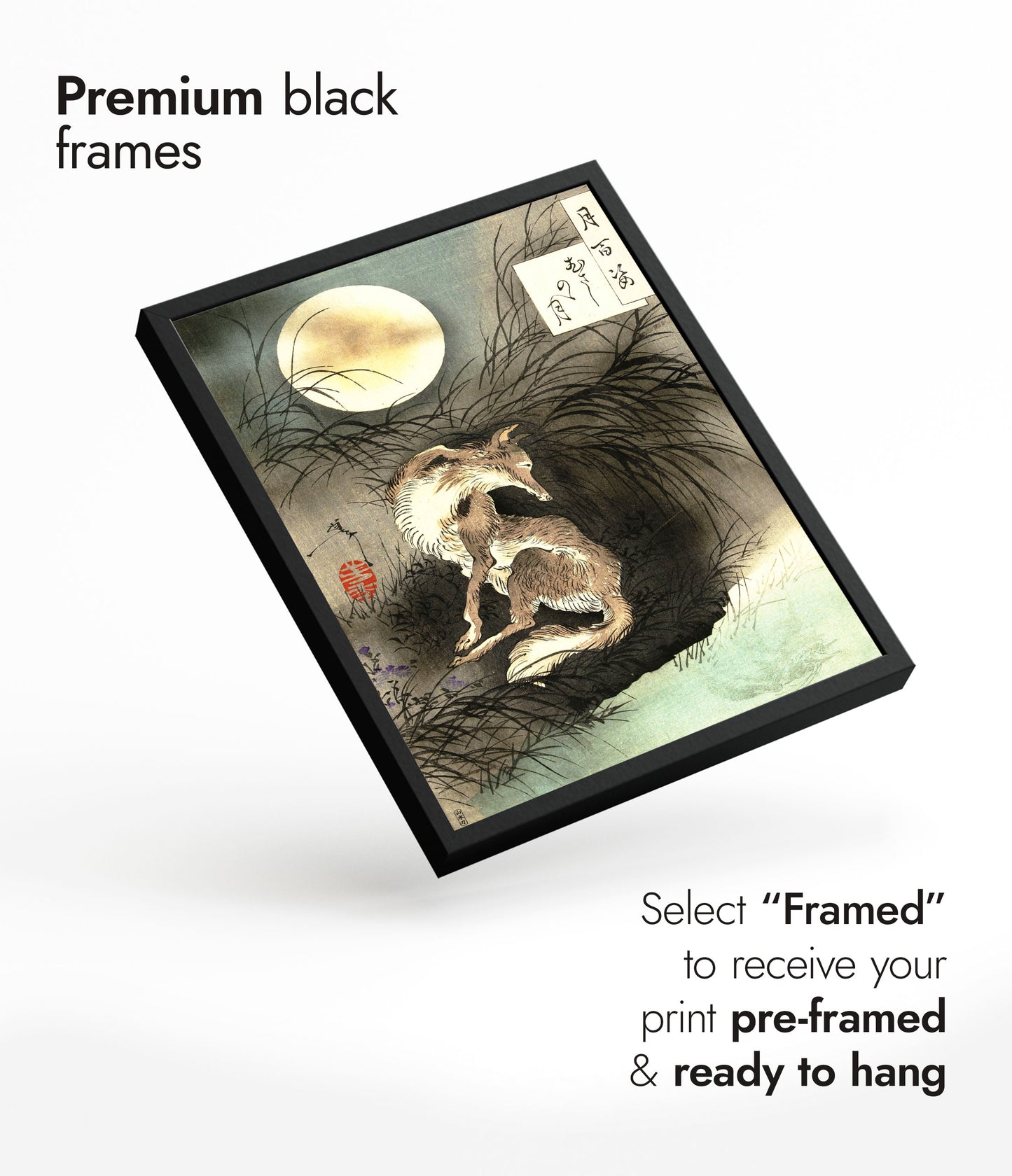 Månen över Musashi-ängen