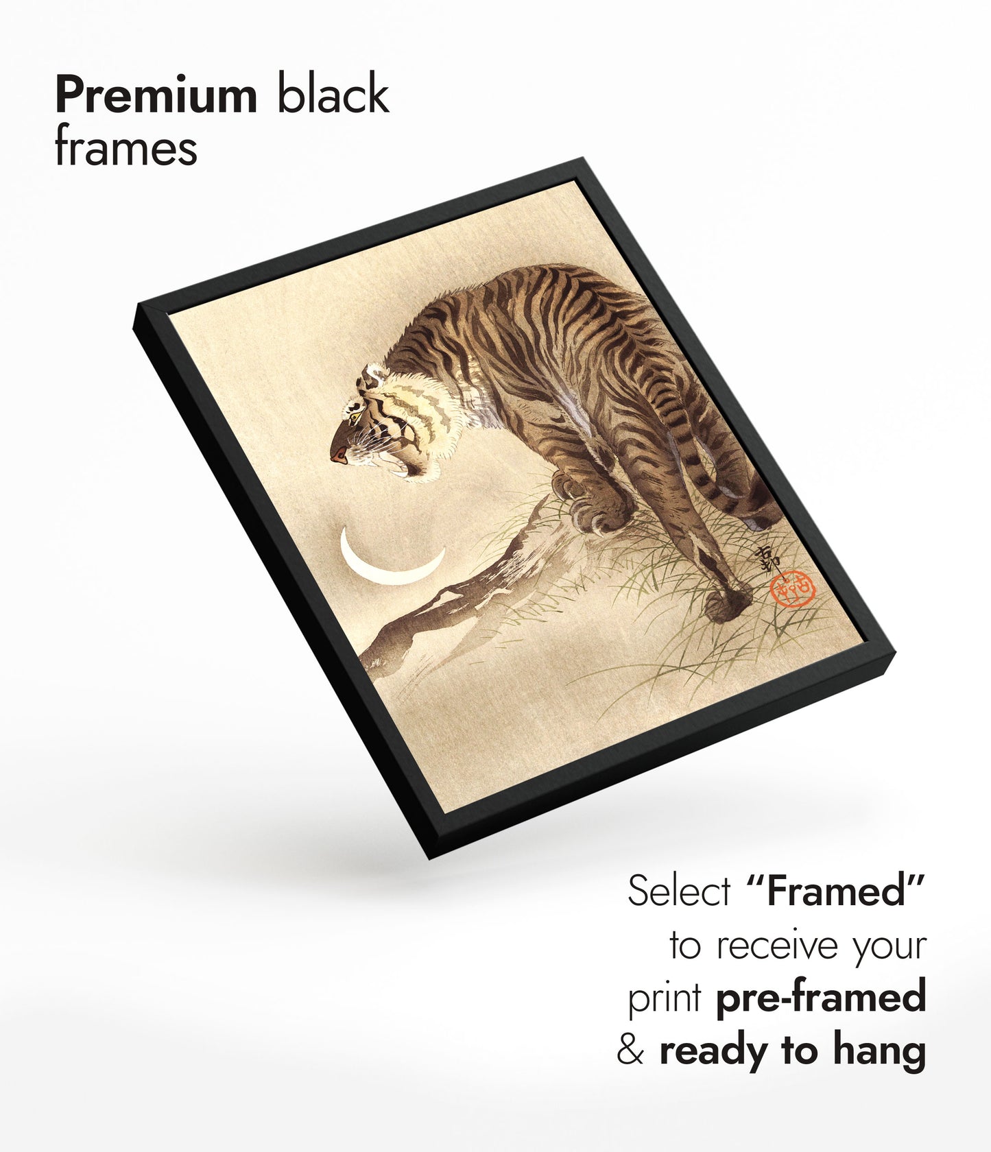 Tigre et Croissant de Lune