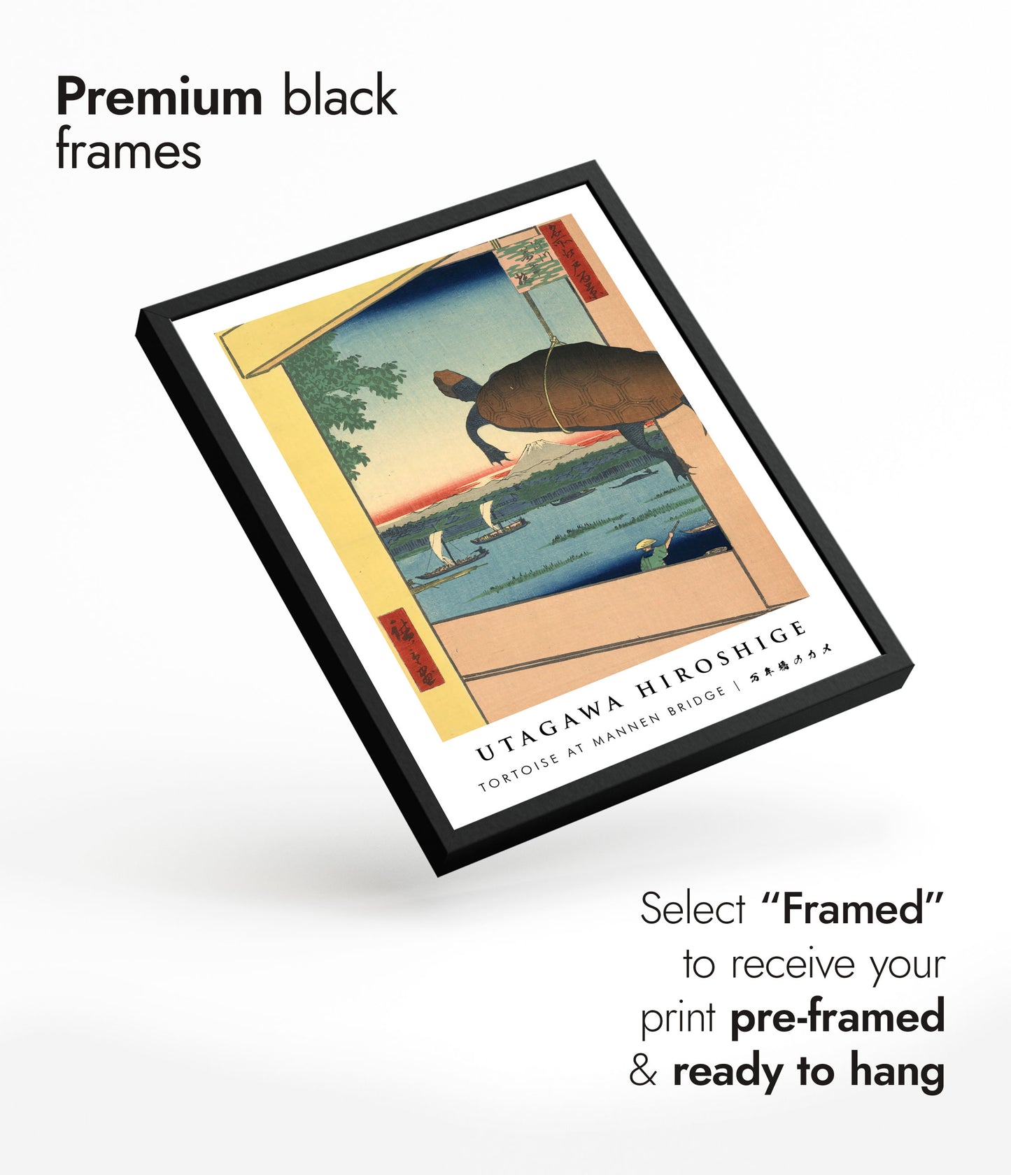 Schildkröte an der Mannen-Brücke